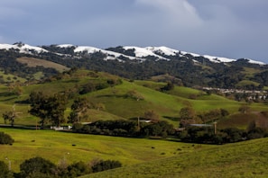 A peaceful landscape of rolling hills with farmland.