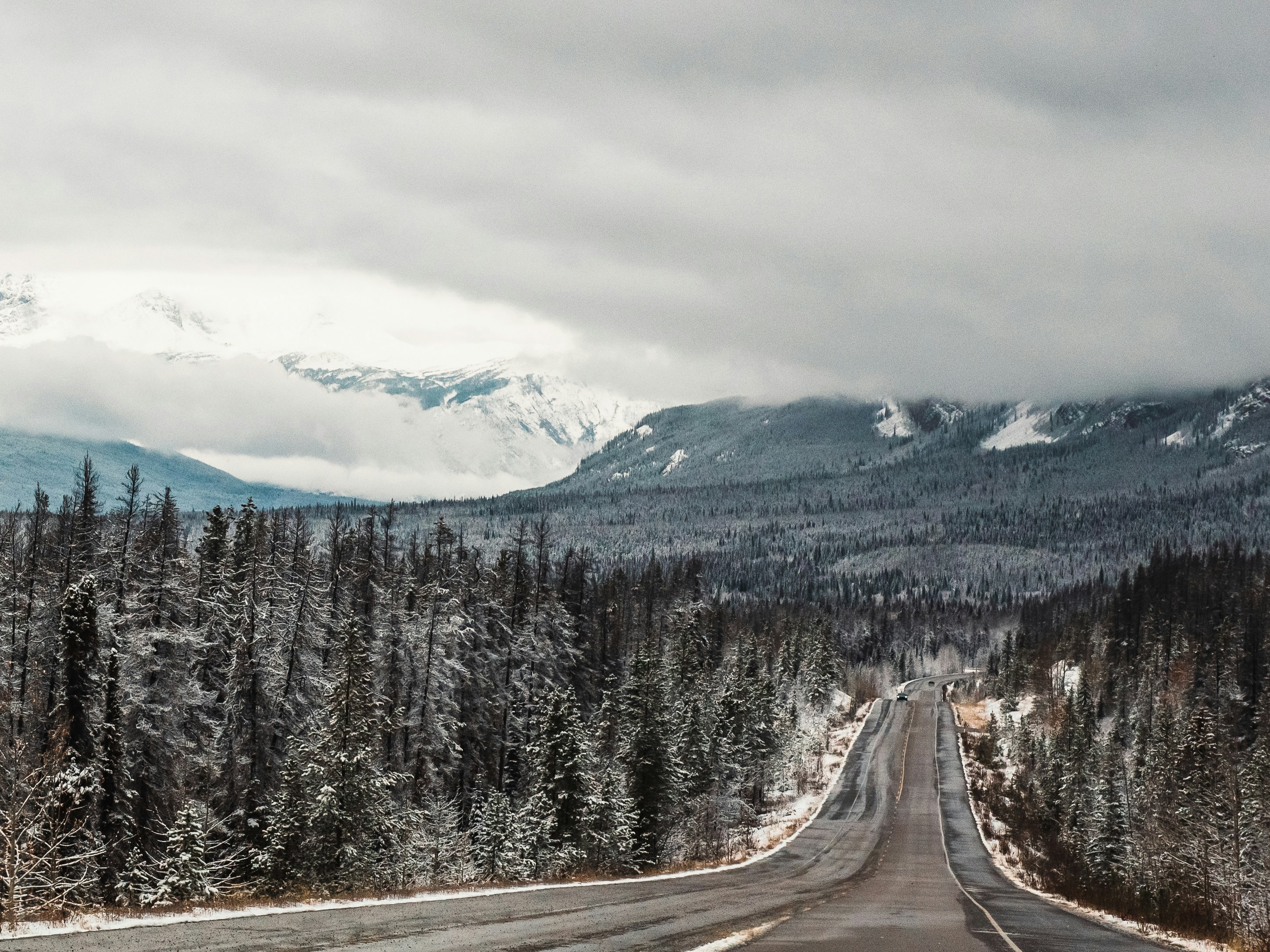 Photo by suzanne_ella