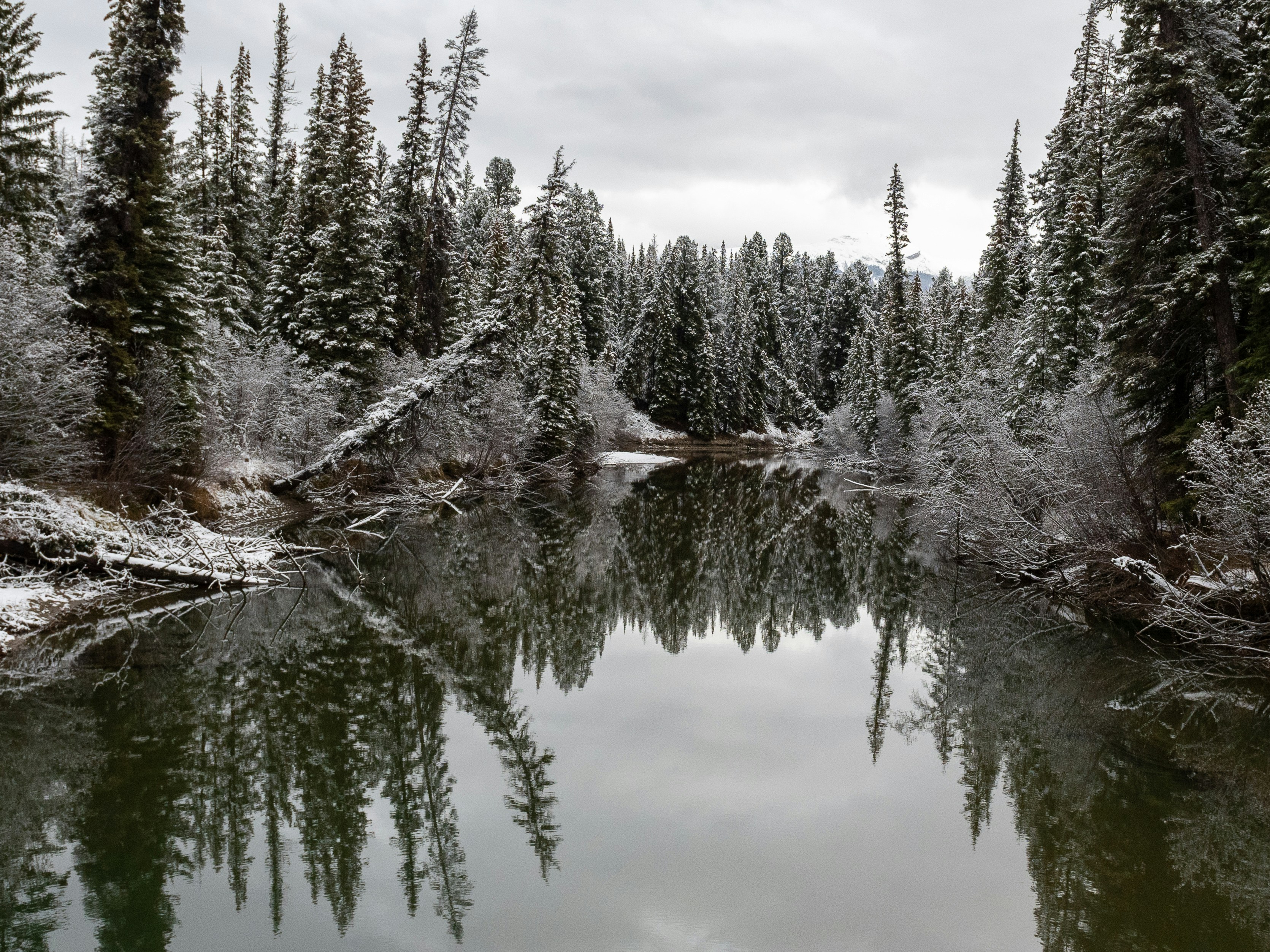 Photo by suzanne_ella