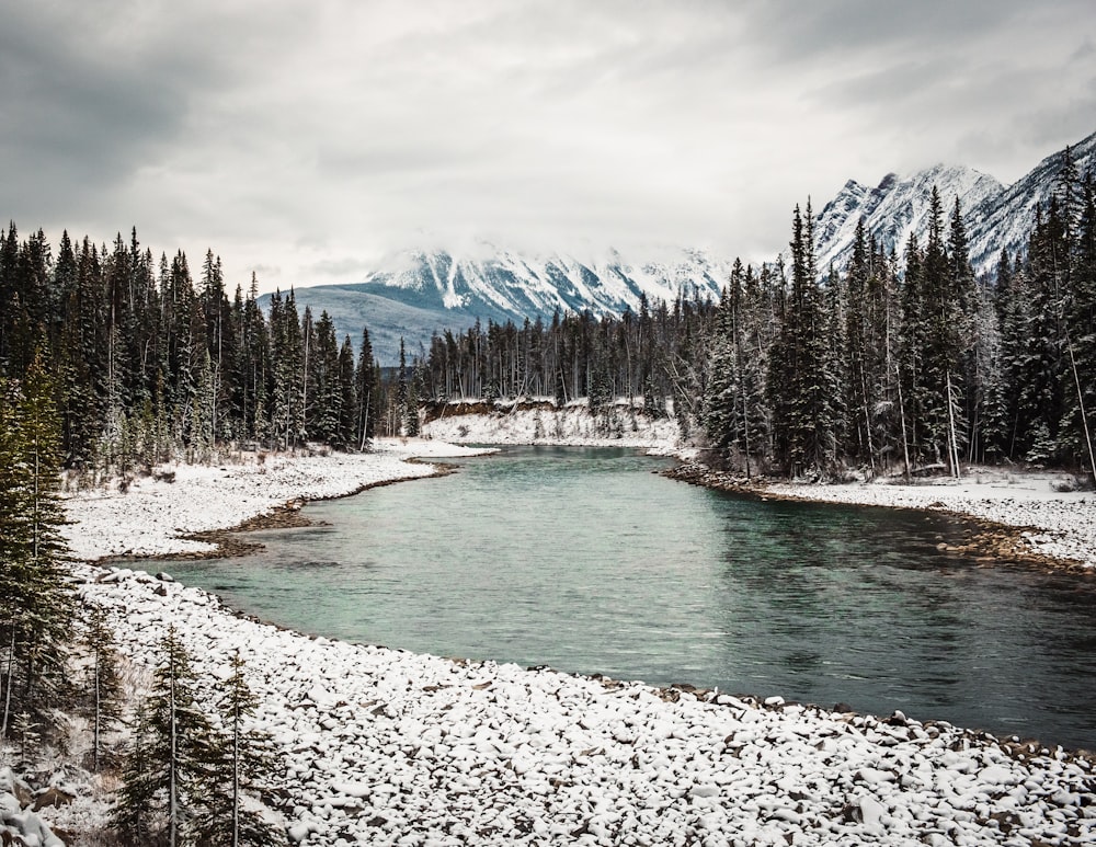 a river running through a snow covered forest