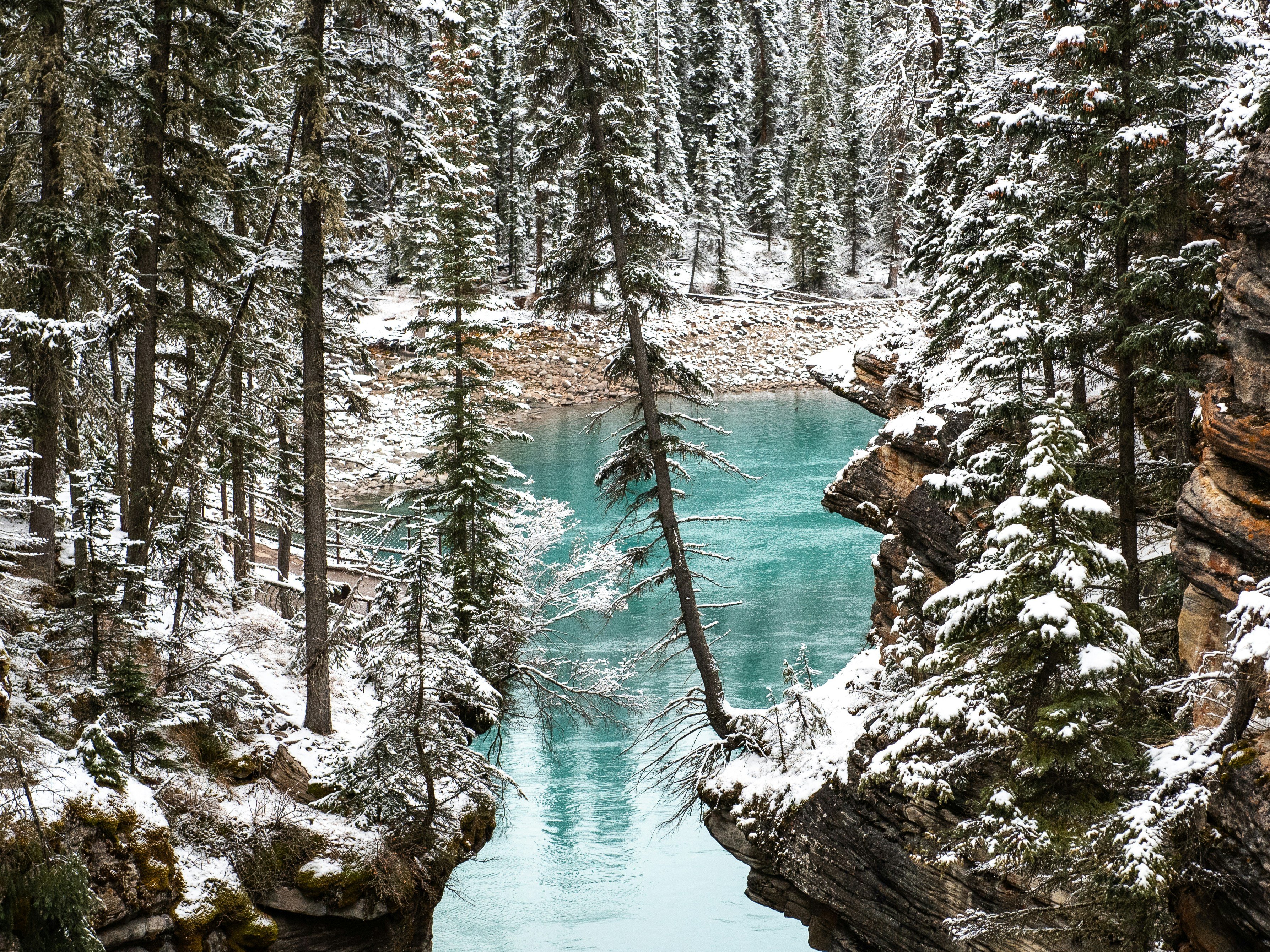 Photo by suzanne_ella