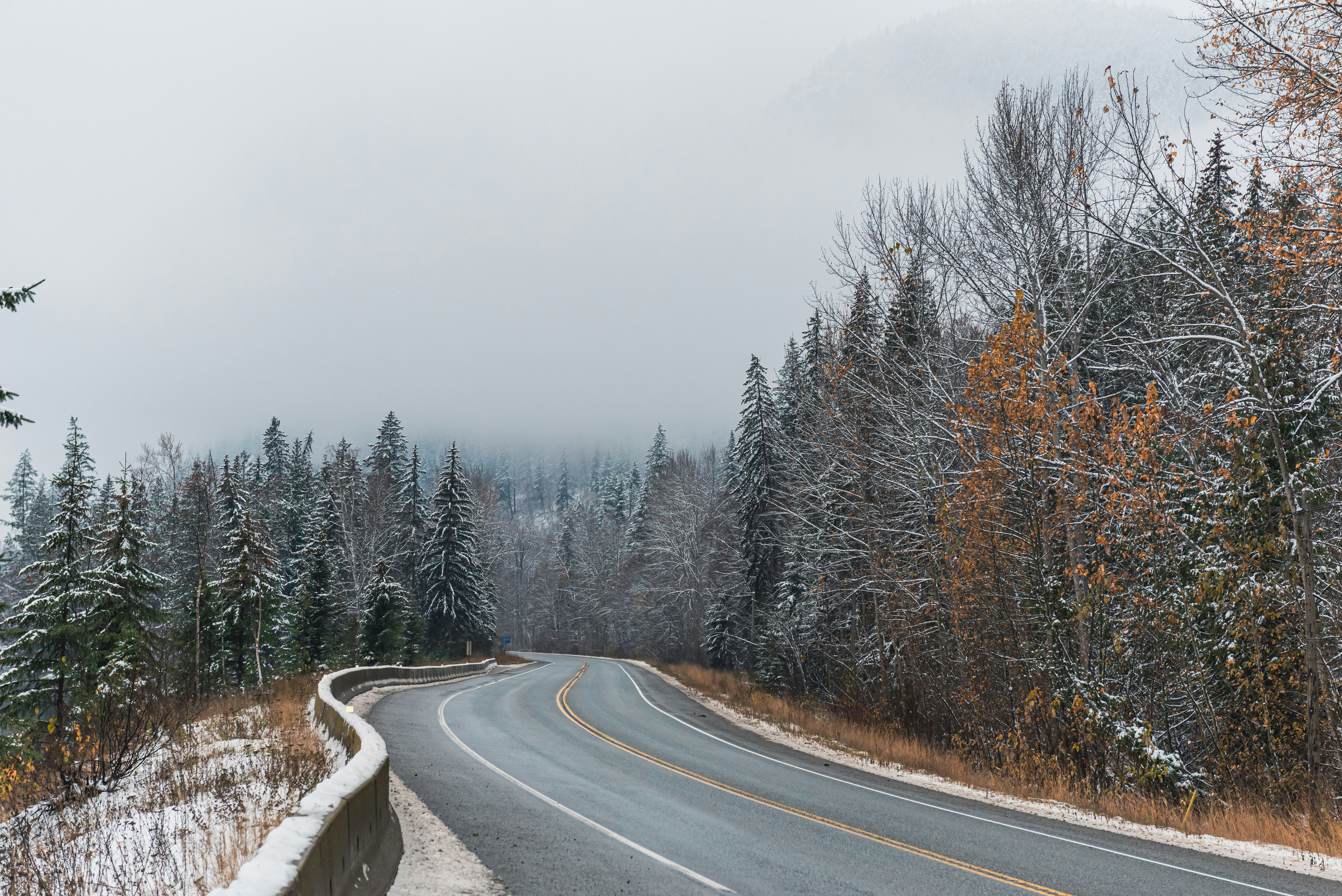 Photo by suzanne_ella