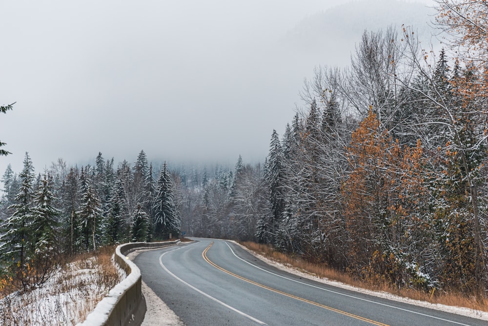 a road in the middle of a snowy forest