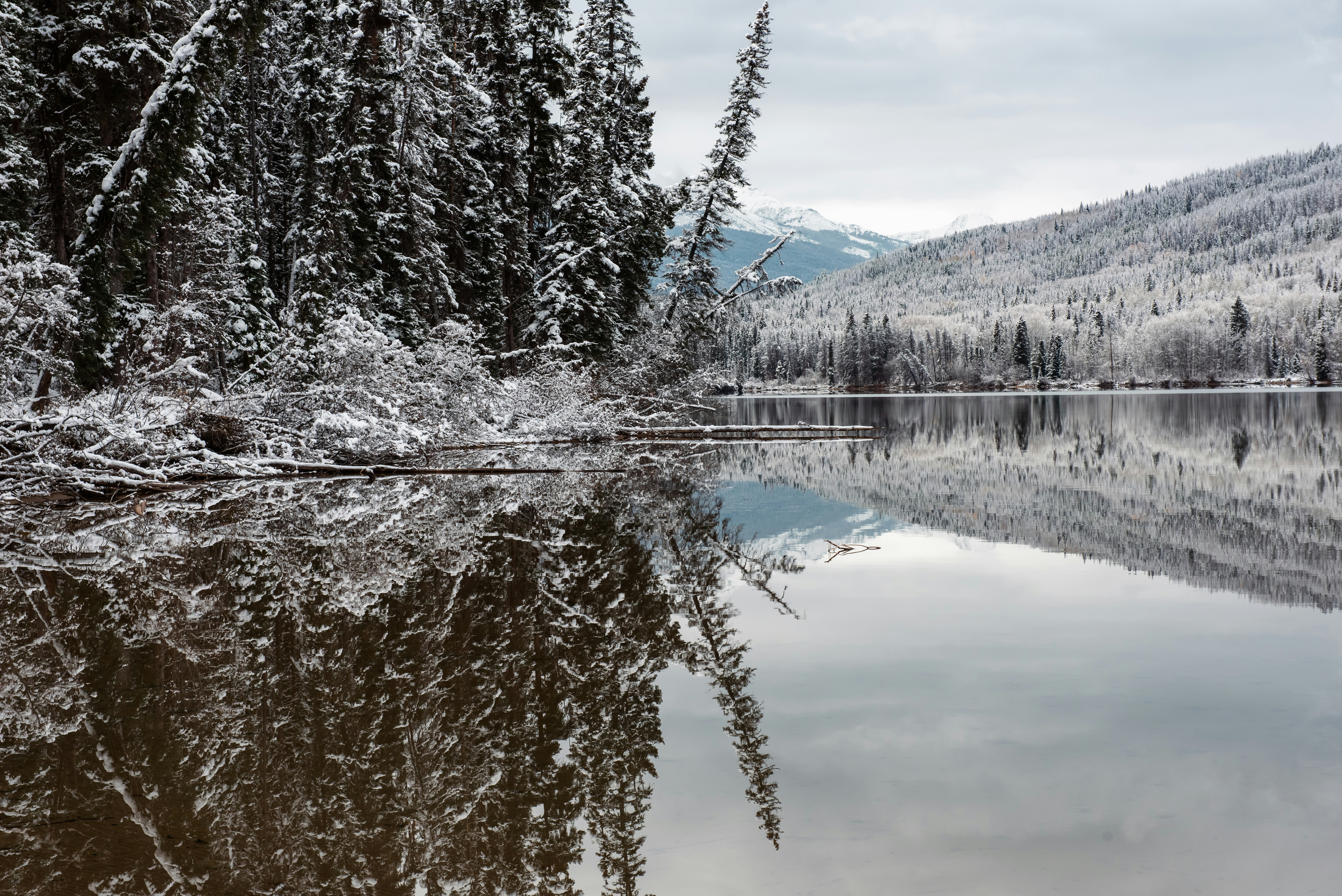 Photo by suzanne_ella