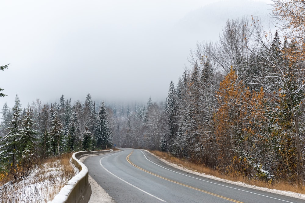 a road in the middle of a snowy forest