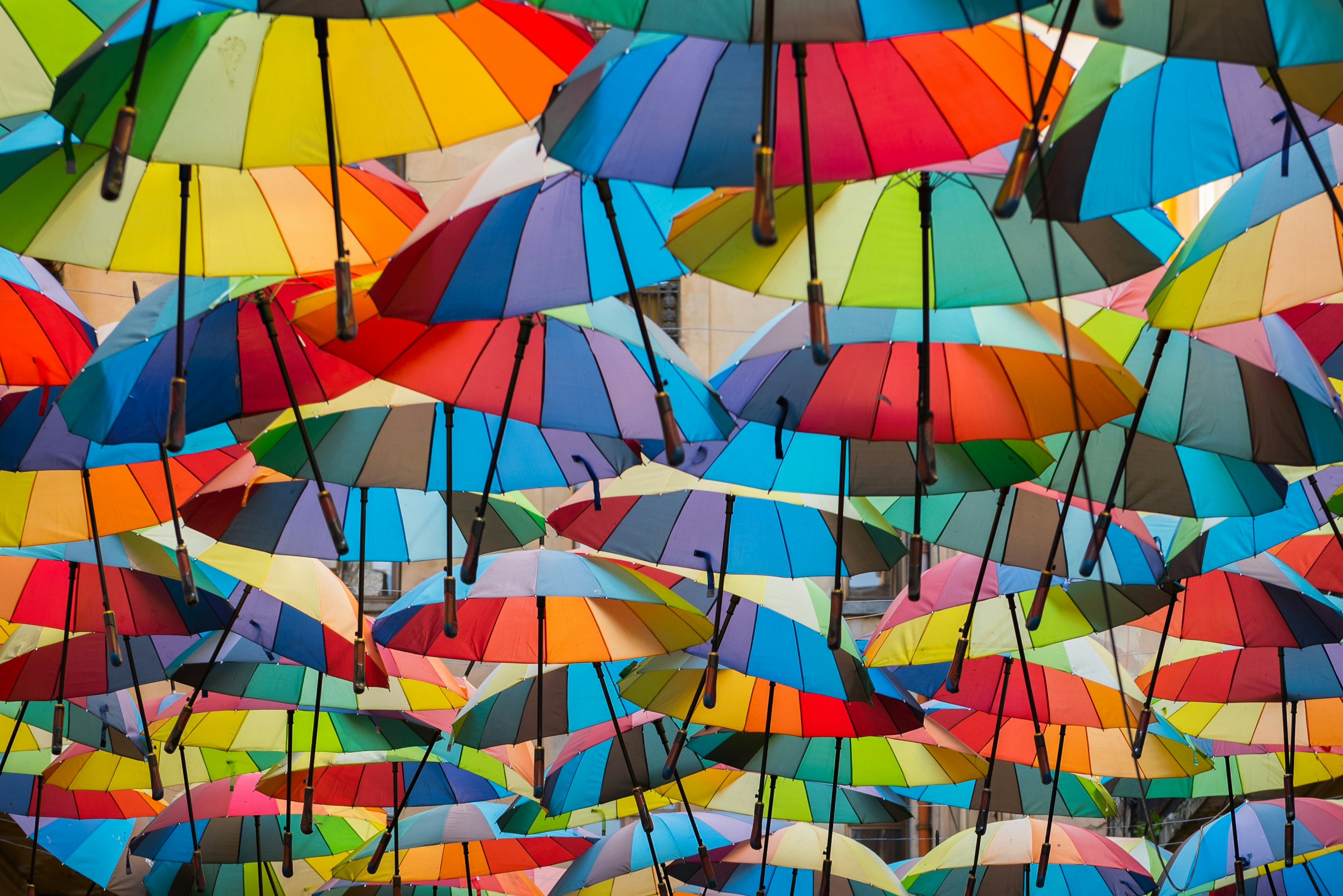 Photo by suzanne_ella