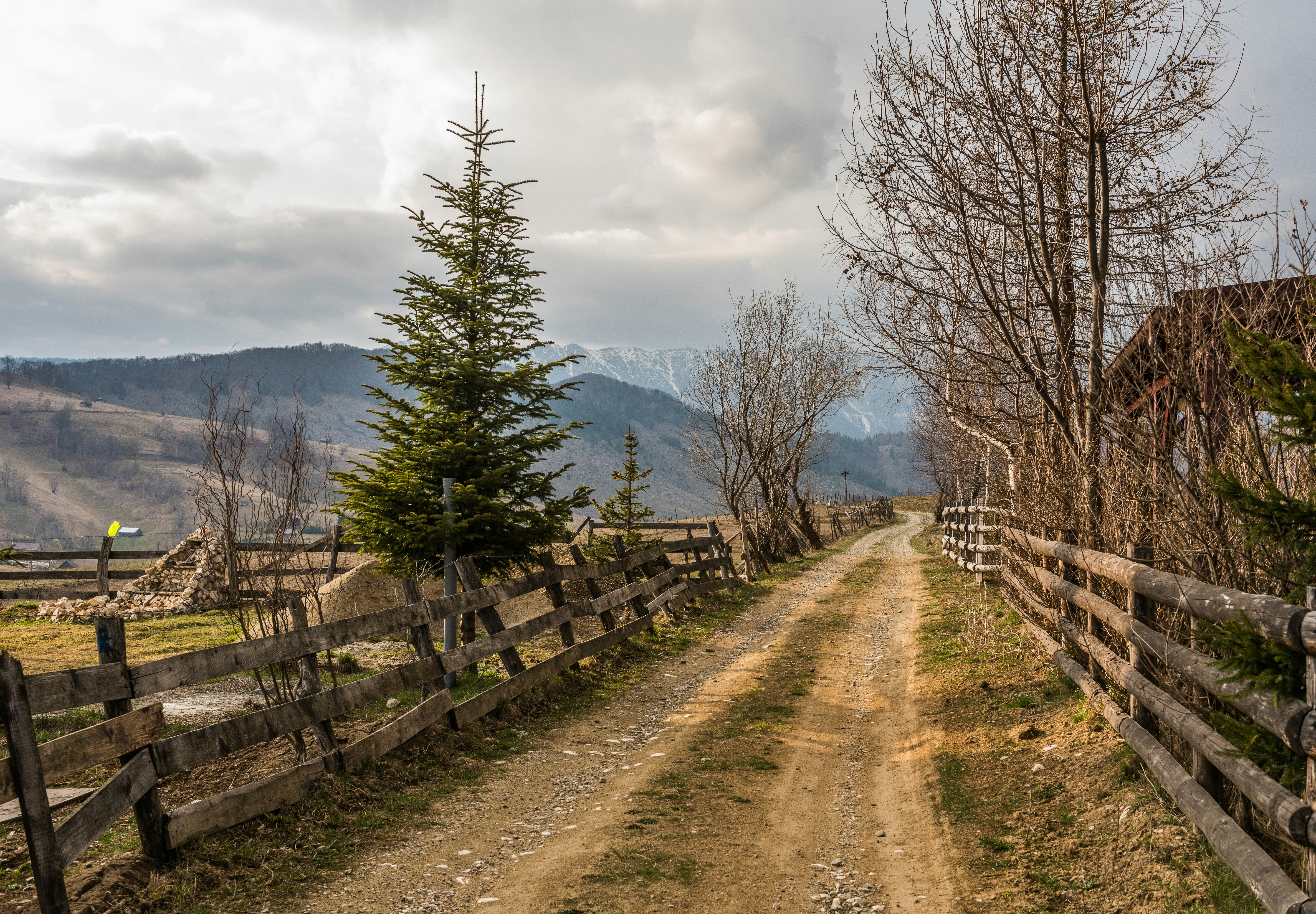 Photo by suzanne_ella