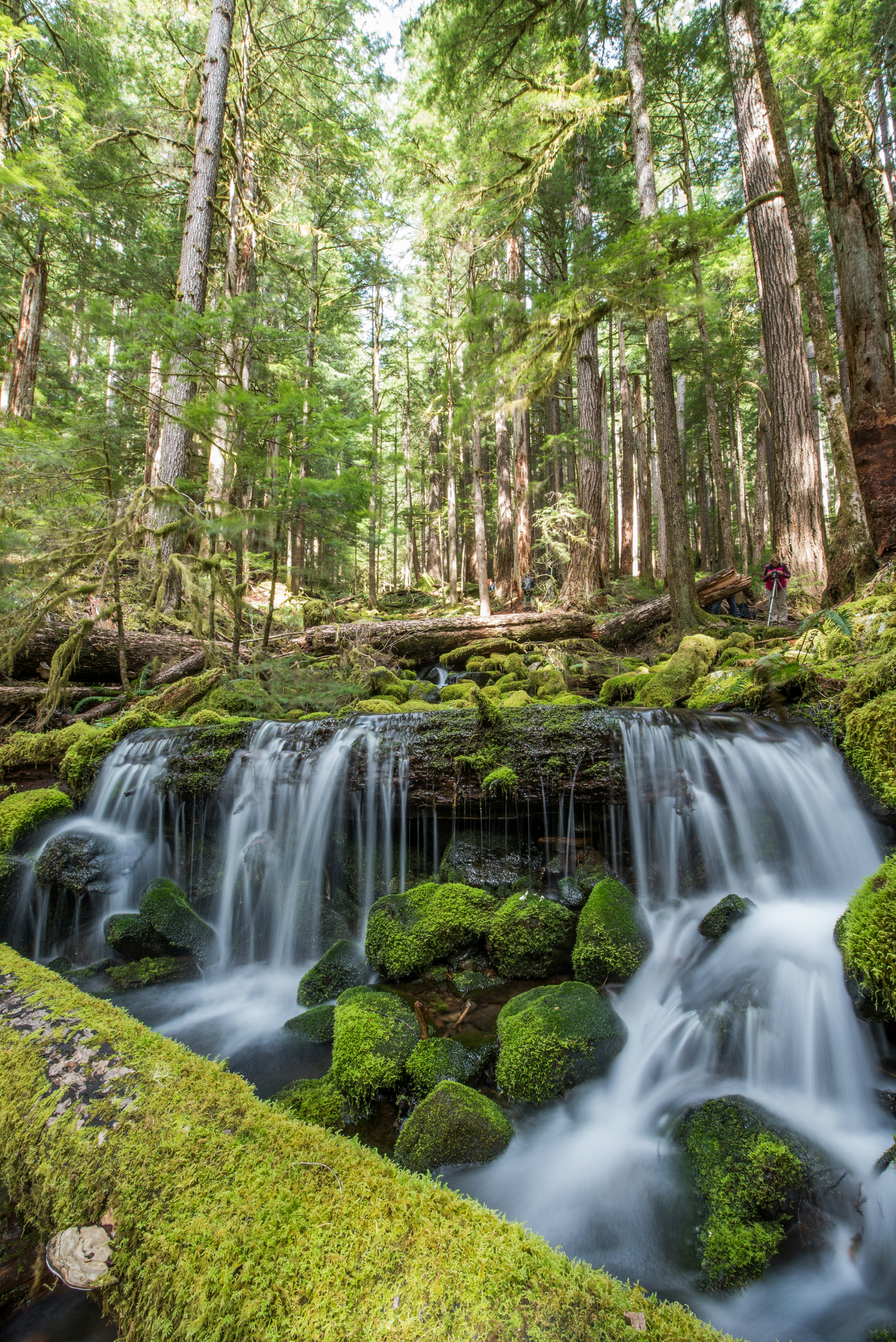 Photo by suzanne_ella