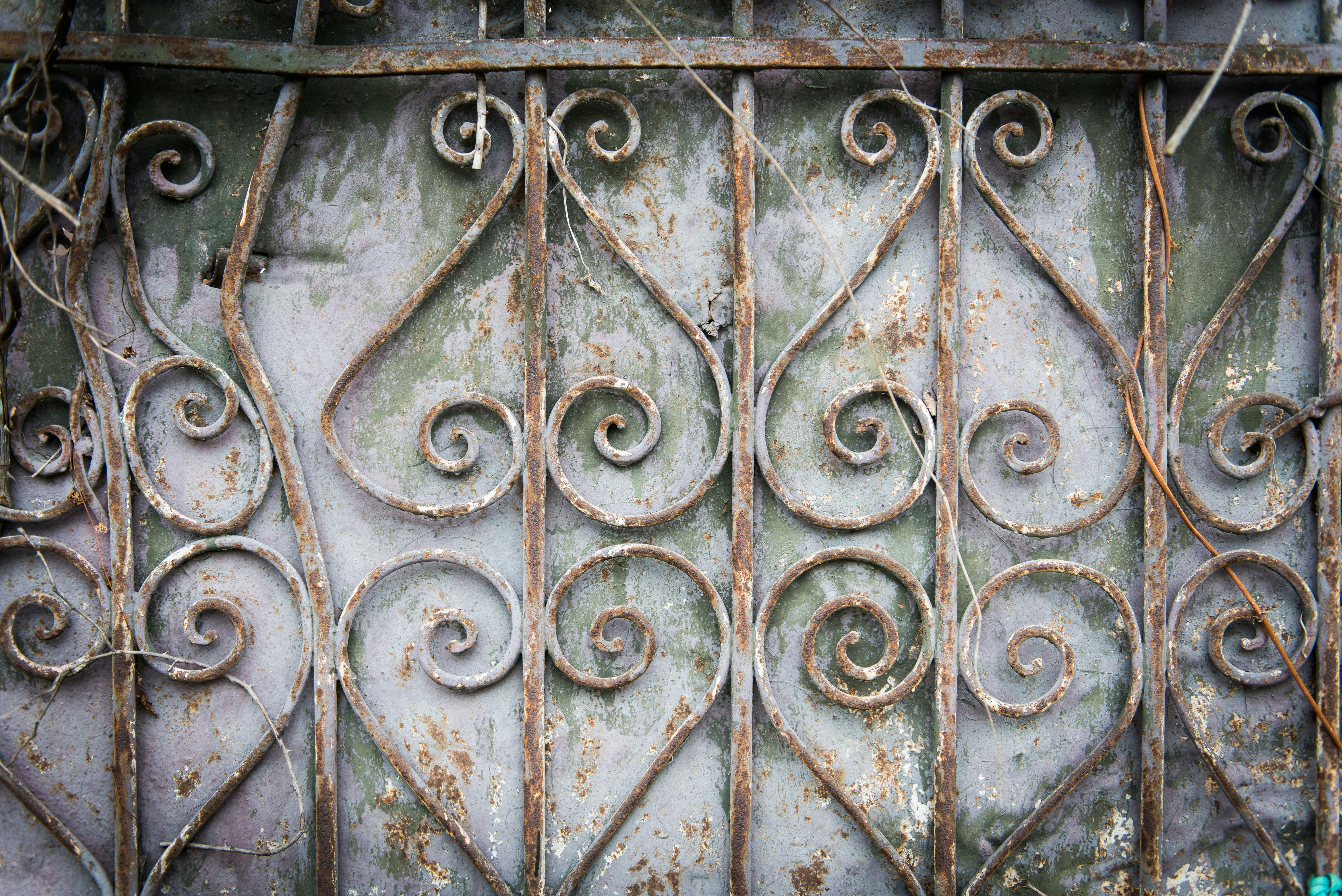 a rusted iron gate with vines on it