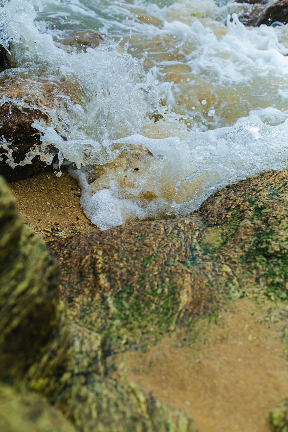 a bird is standing on a rock by the water