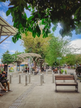 A sidewalk scene featuring a canopy of vibrant green leaves overhead, with people sitting on benches and walking along the path. Metal bollards line the sidewalk, with a couple of individuals engaging with their phones. The setting is enriched by trees and various greenery, with a clear blue sky punctuated by a few clouds.