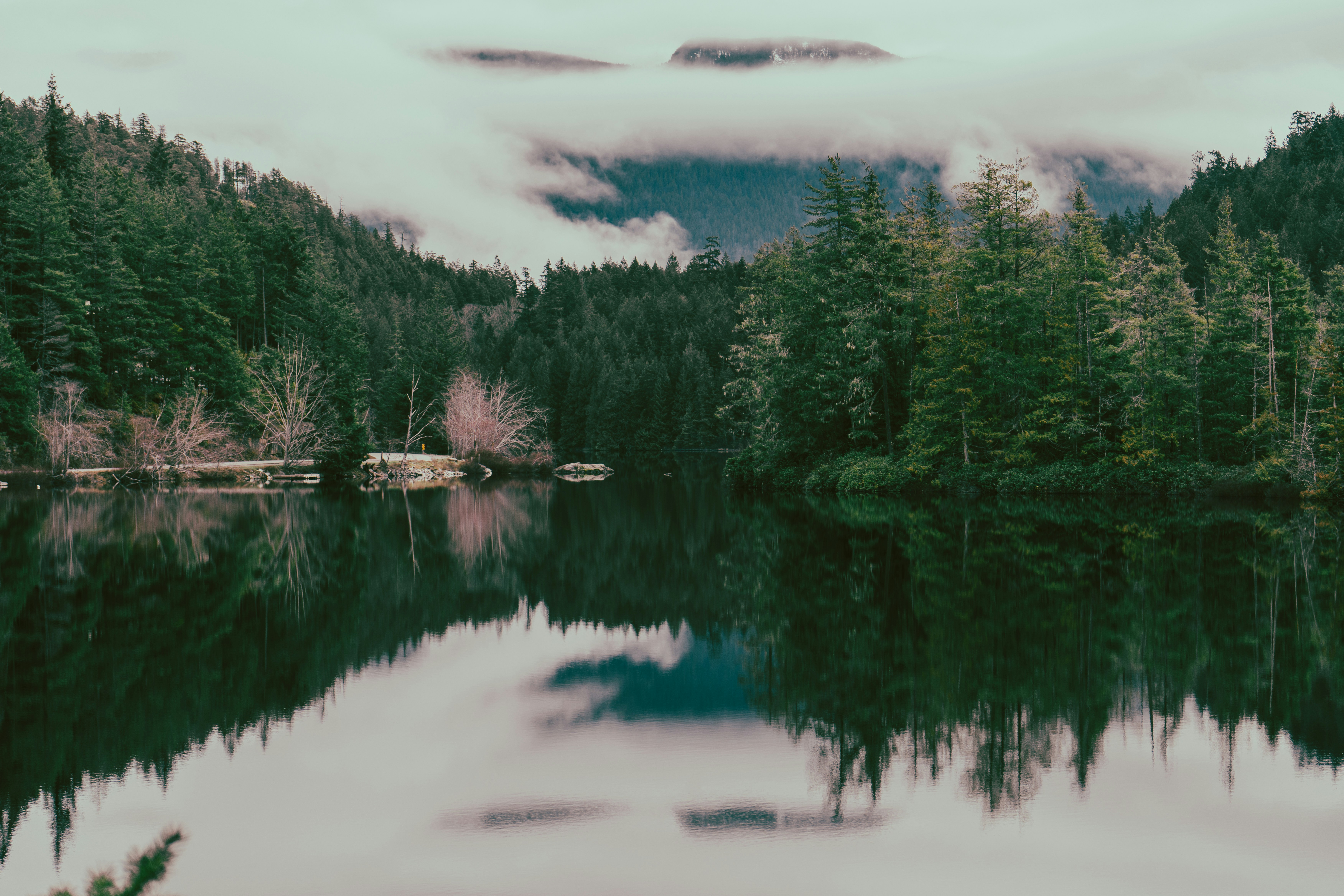 Photo by suzanne_ella