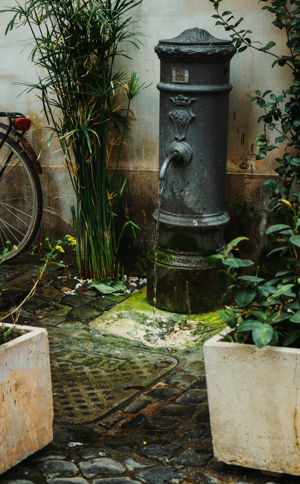 a fire hydrant sitting next to two planters