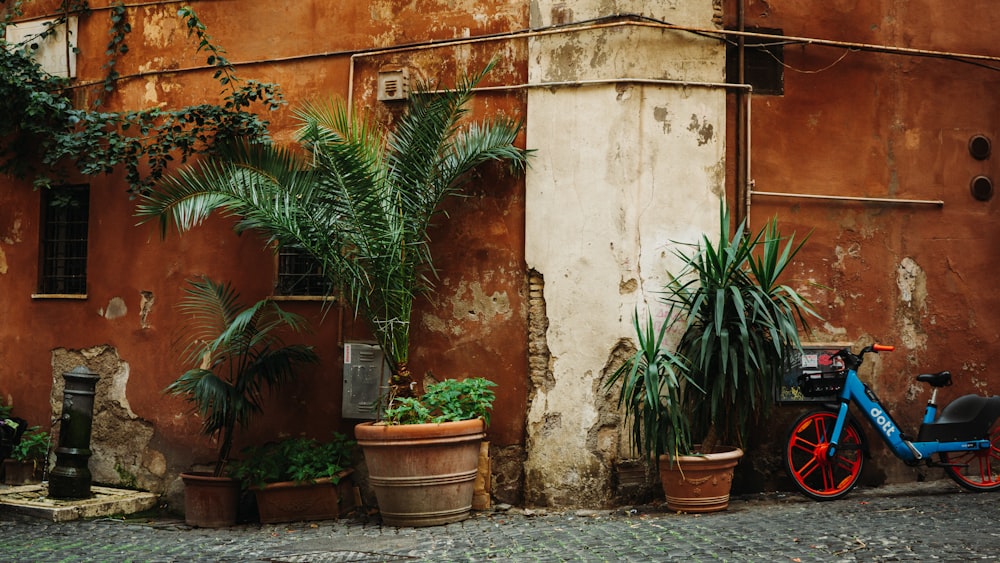 a bike parked next to a building with potted plants