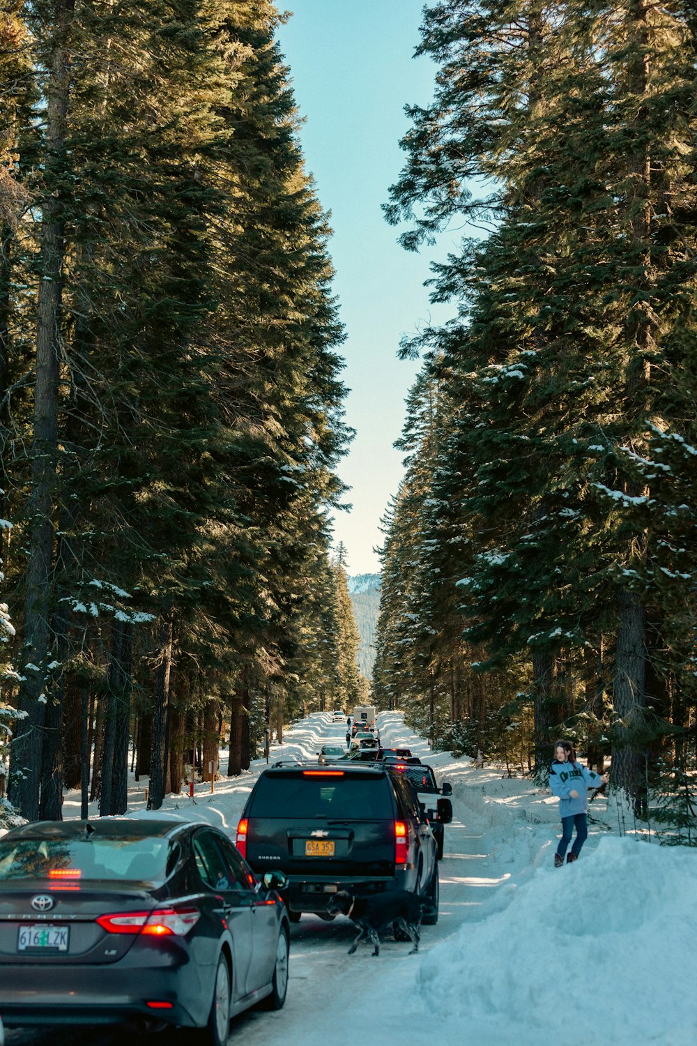 a couple of cars parked on a snowy road