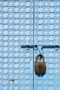 Close-up of a sturdy metal gate with a secure locking mechanism.