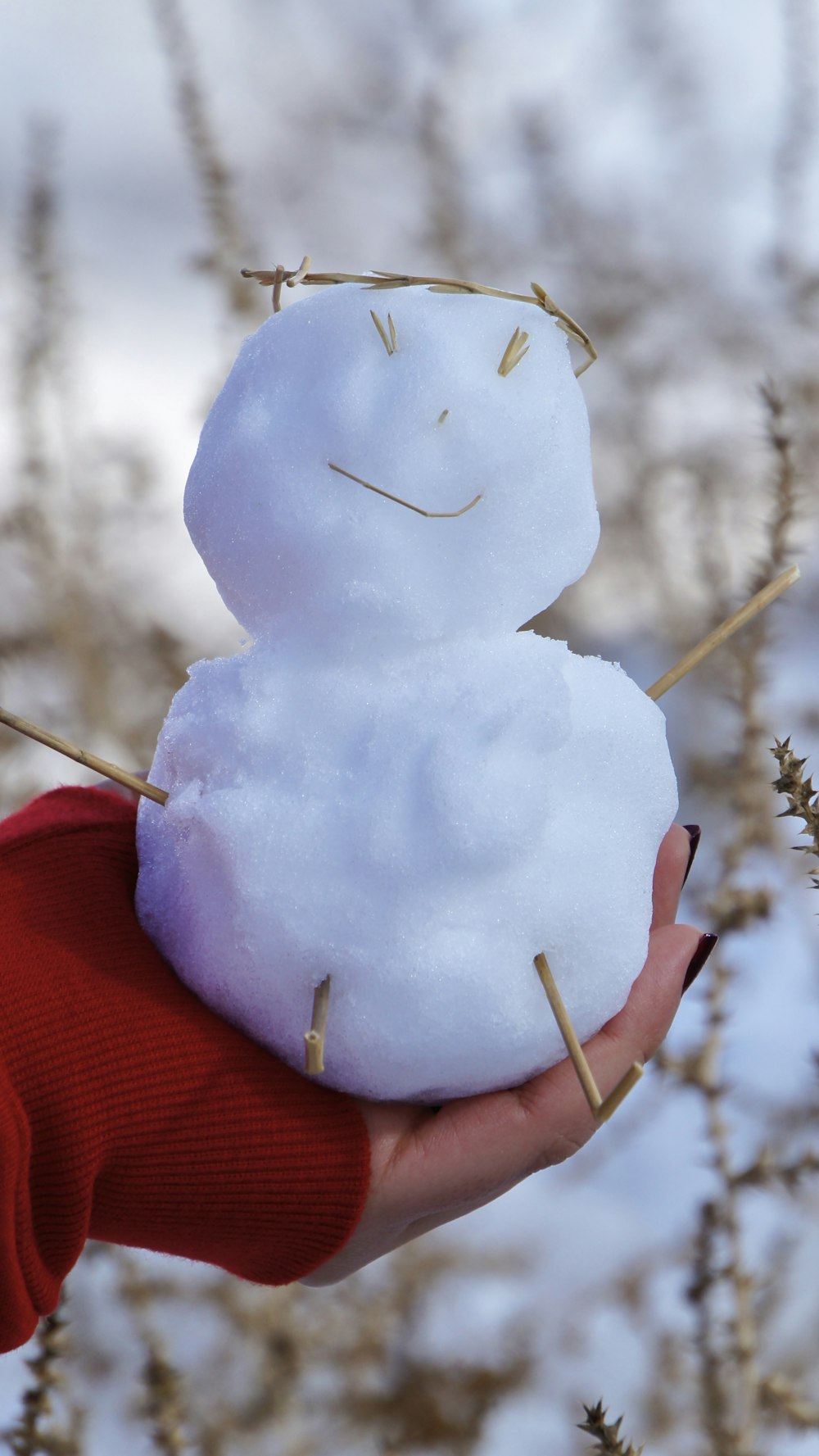 a person holding a snowman in their hand