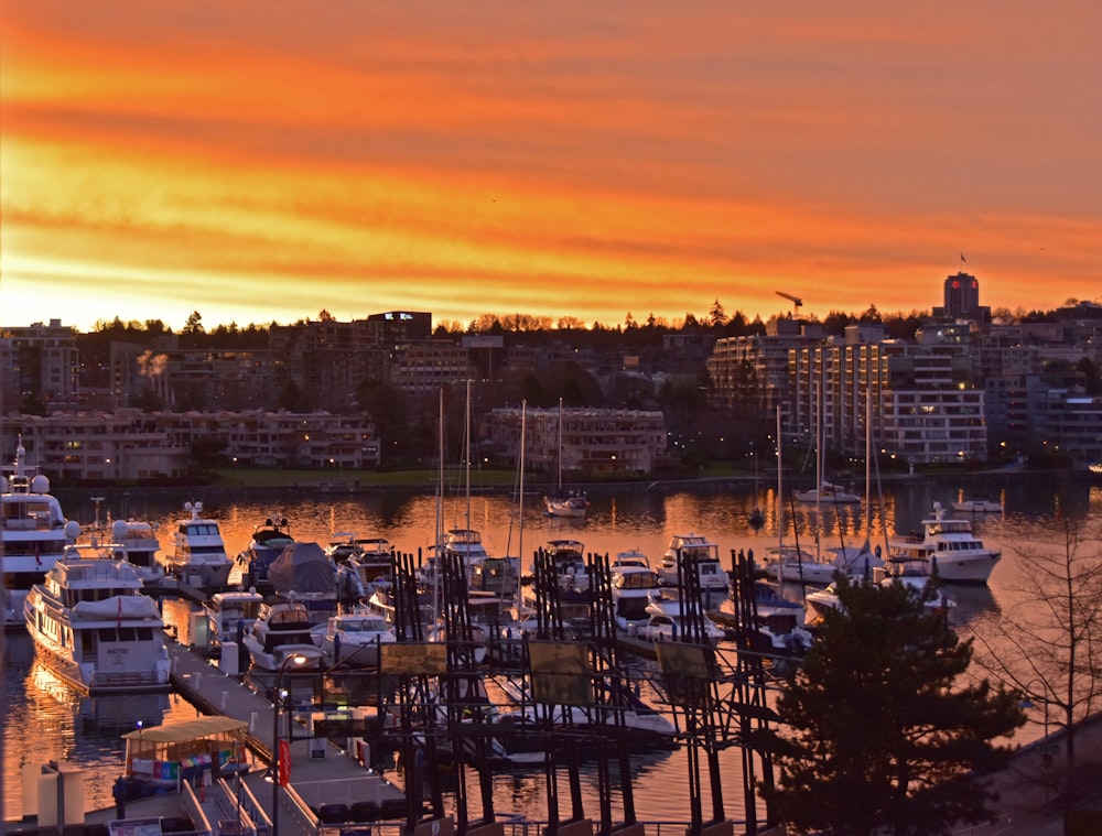 a harbor filled with lots of boats under a colorful sky