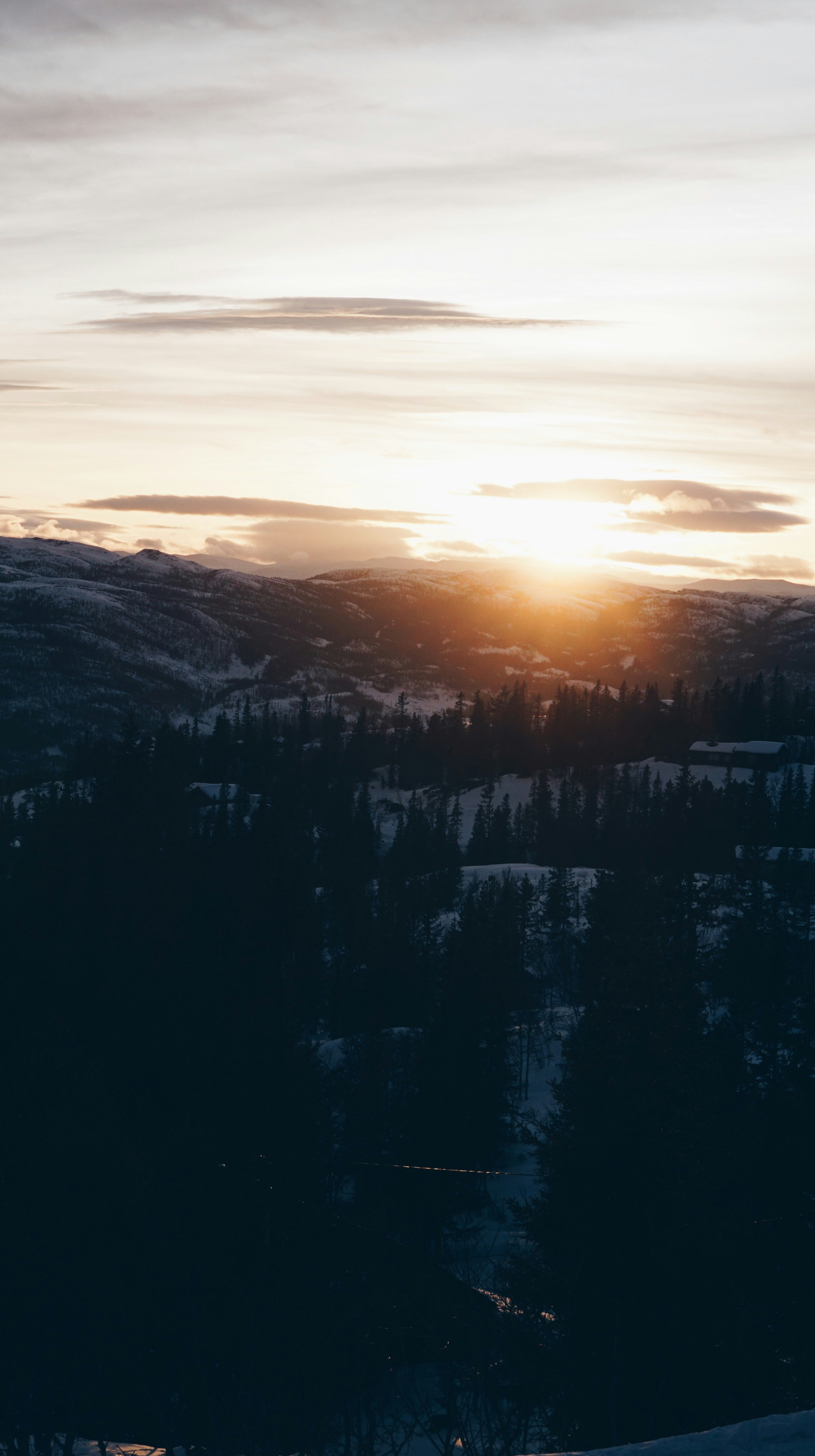 Photo by andersberglund