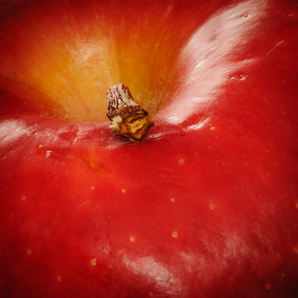 一口取り出された赤いリンゴ