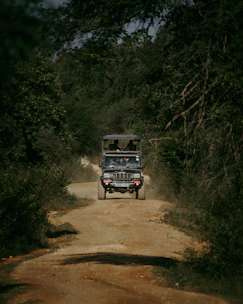 A jeep driving through lush Sri Lankan jungle with a guide pointing out wildlife.