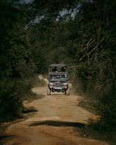 A rugged off-road vehicle is traveling along a dirt path surrounded by dense foliage and trees. The path is uneven, emphasizing a sense of adventure. The vehicle has a roof rack and appears to be a safari or tour jeep with passengers visible inside.