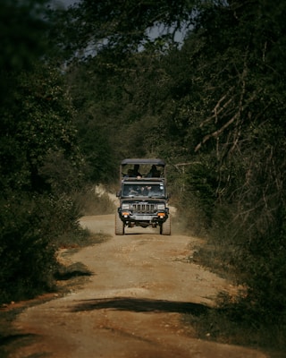 A rugged off-road vehicle is traveling along a dirt path surrounded by dense foliage and trees. The path is uneven, emphasizing a sense of adventure. The vehicle has a roof rack and appears to be a safari or tour jeep with passengers visible inside.