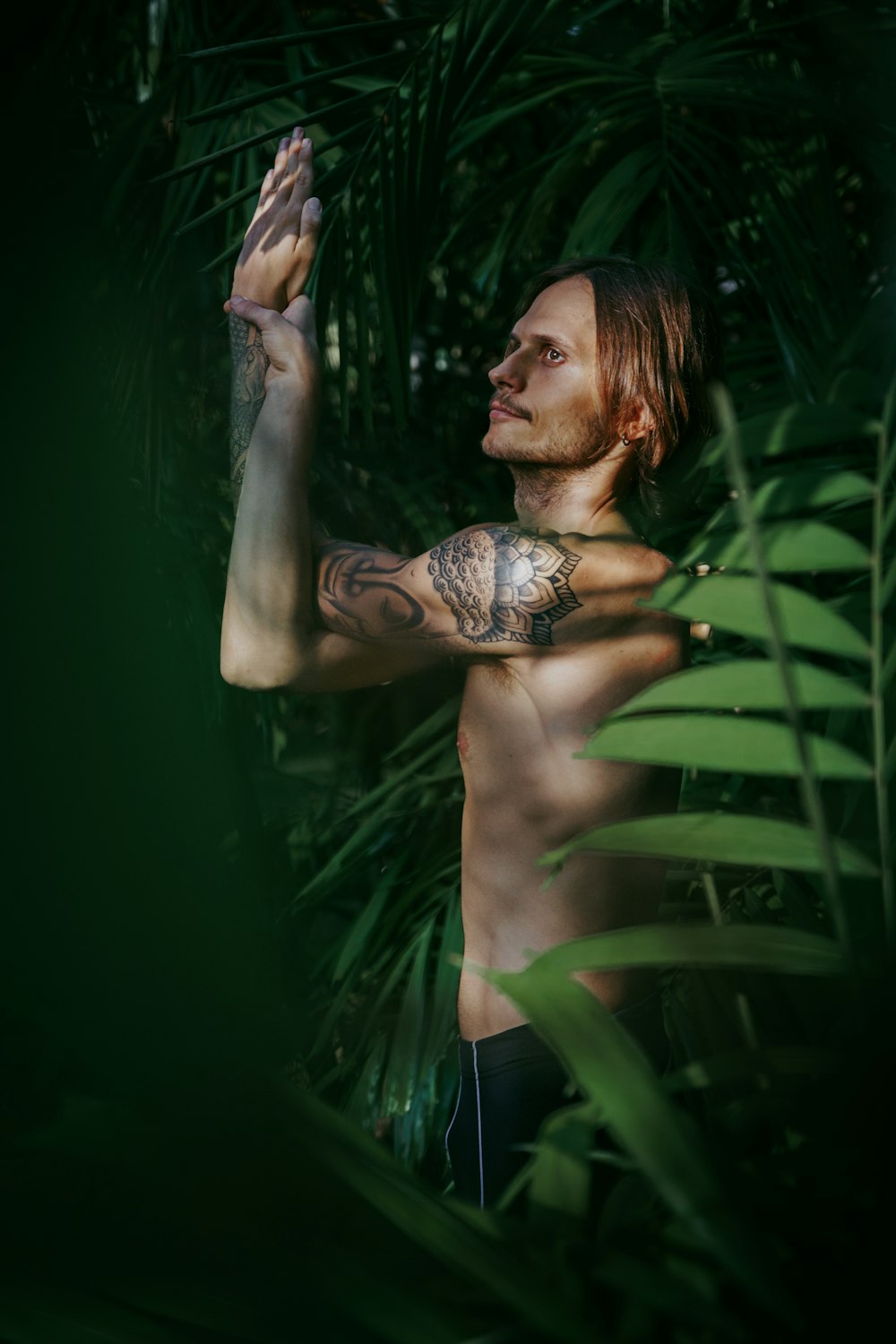 a shirtless man standing in front of a palm tree