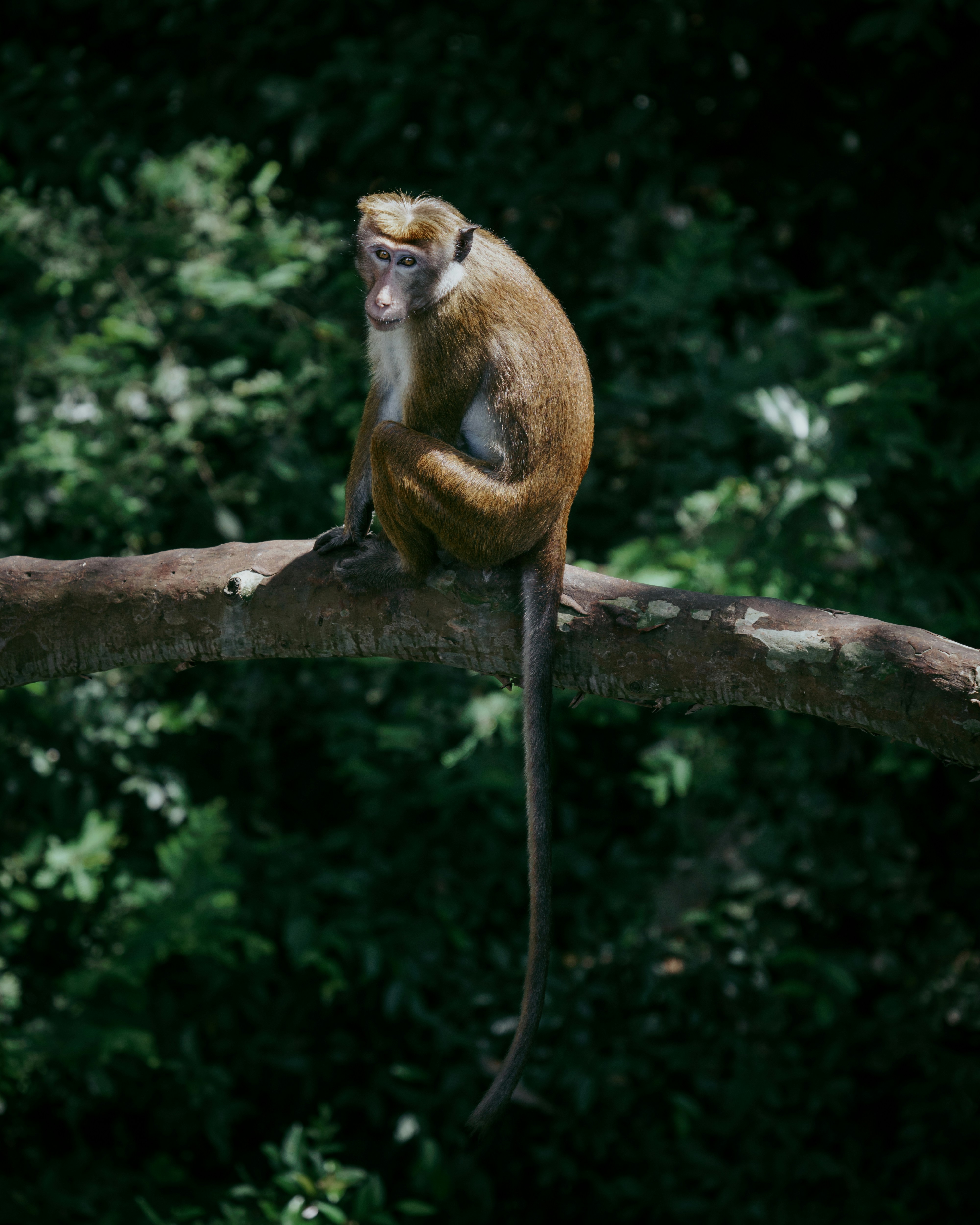 Photo by seasoulvisuals