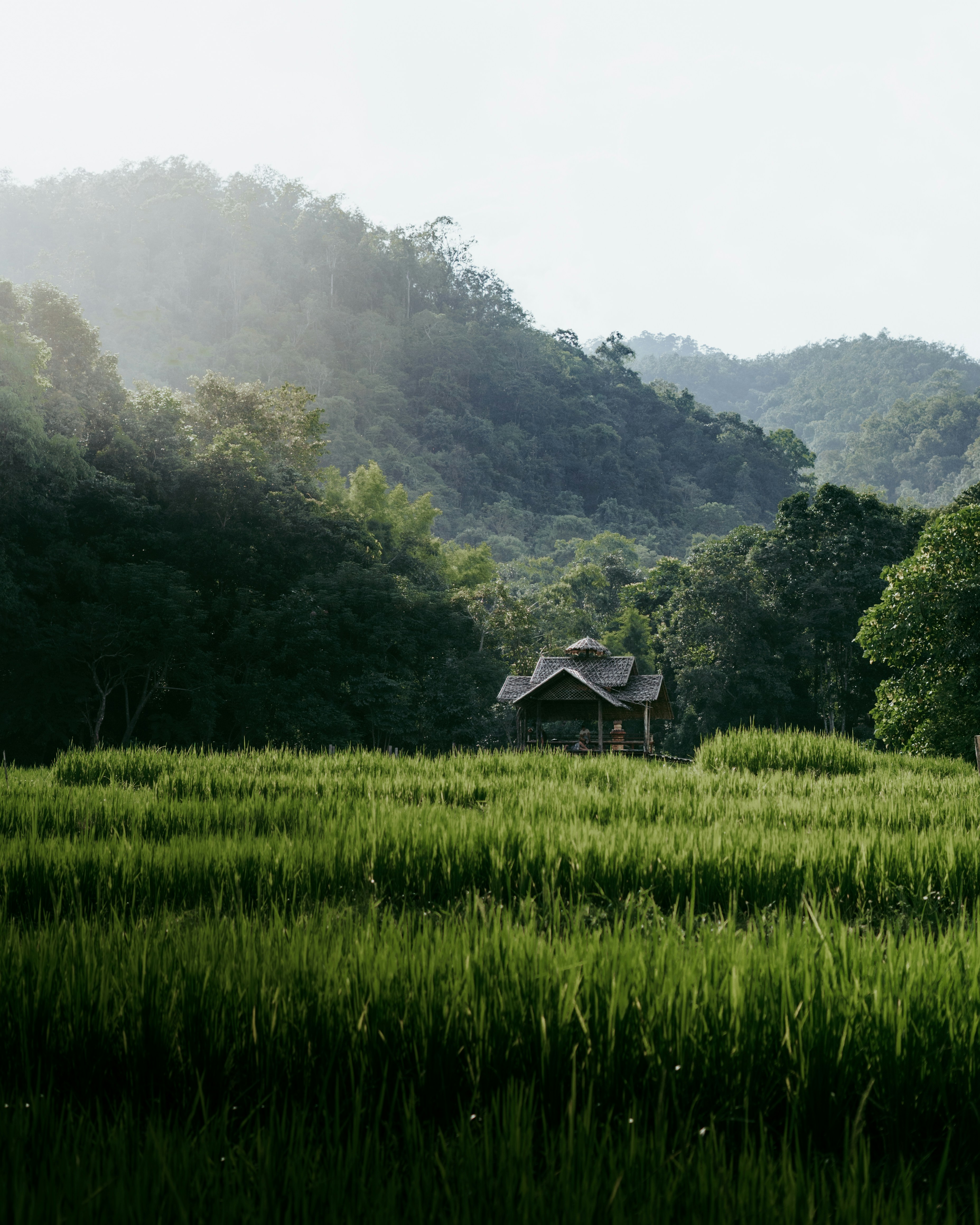 Seasonal Festivals and Cultural Immersion
