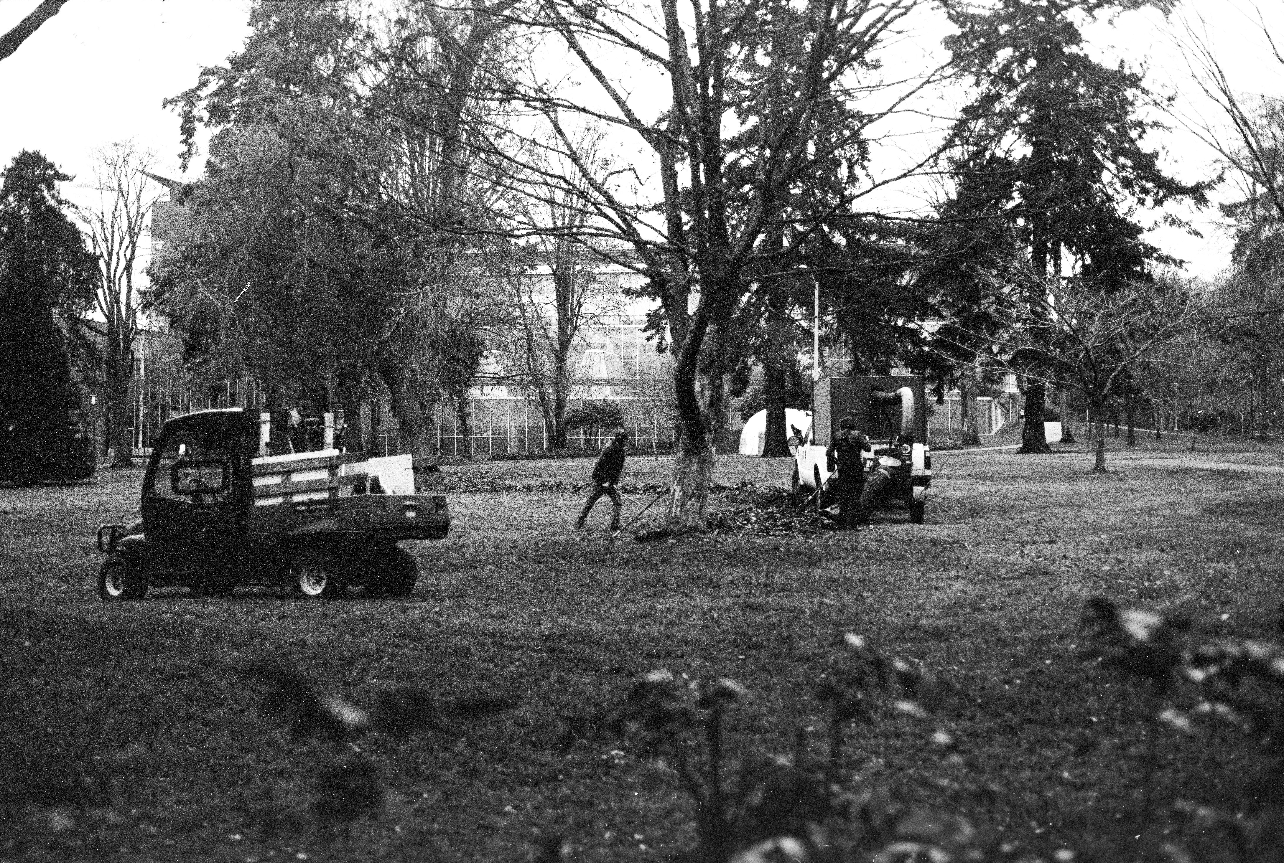 Photo by davidschultz