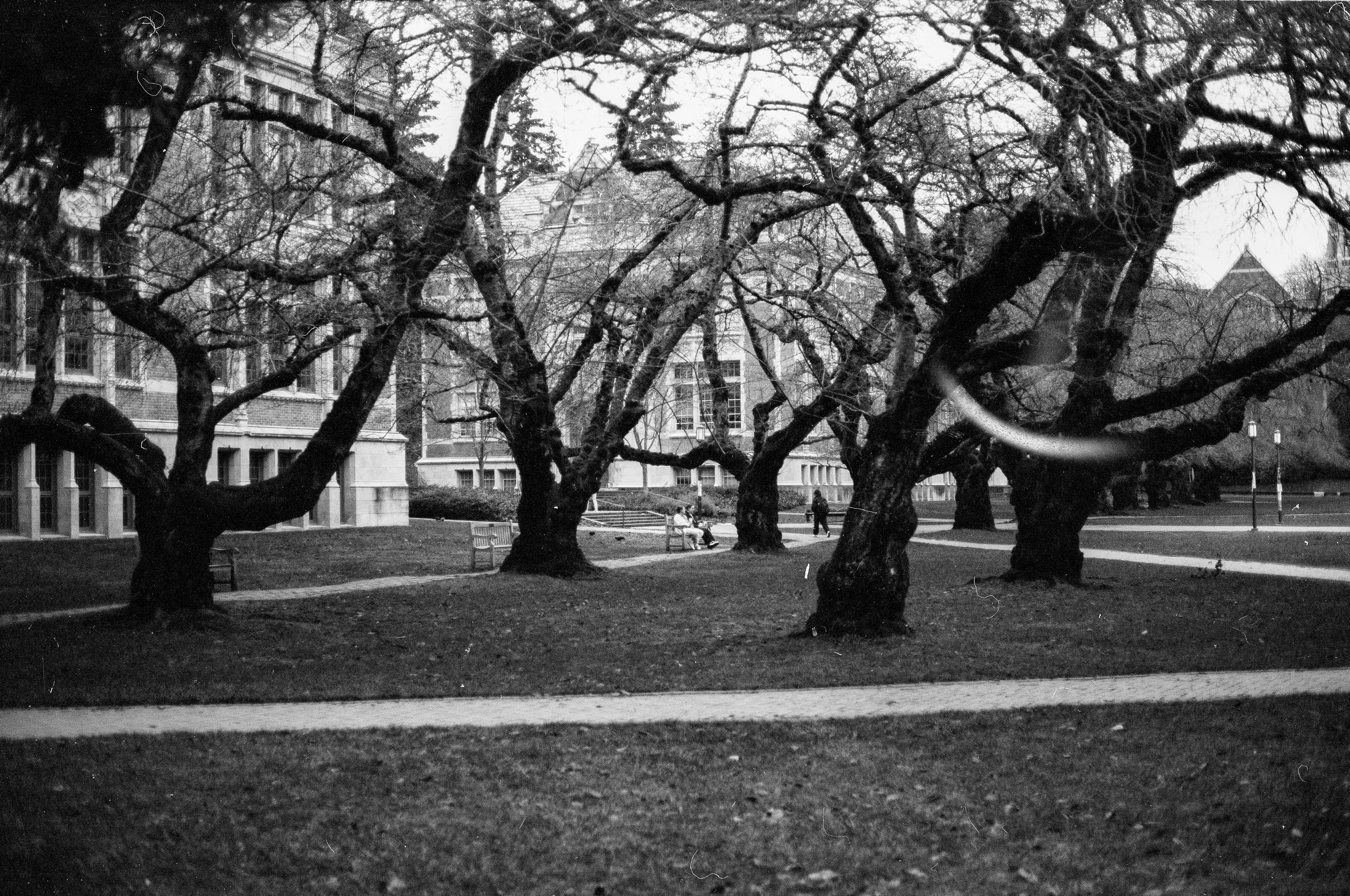 Photo by davidschultz