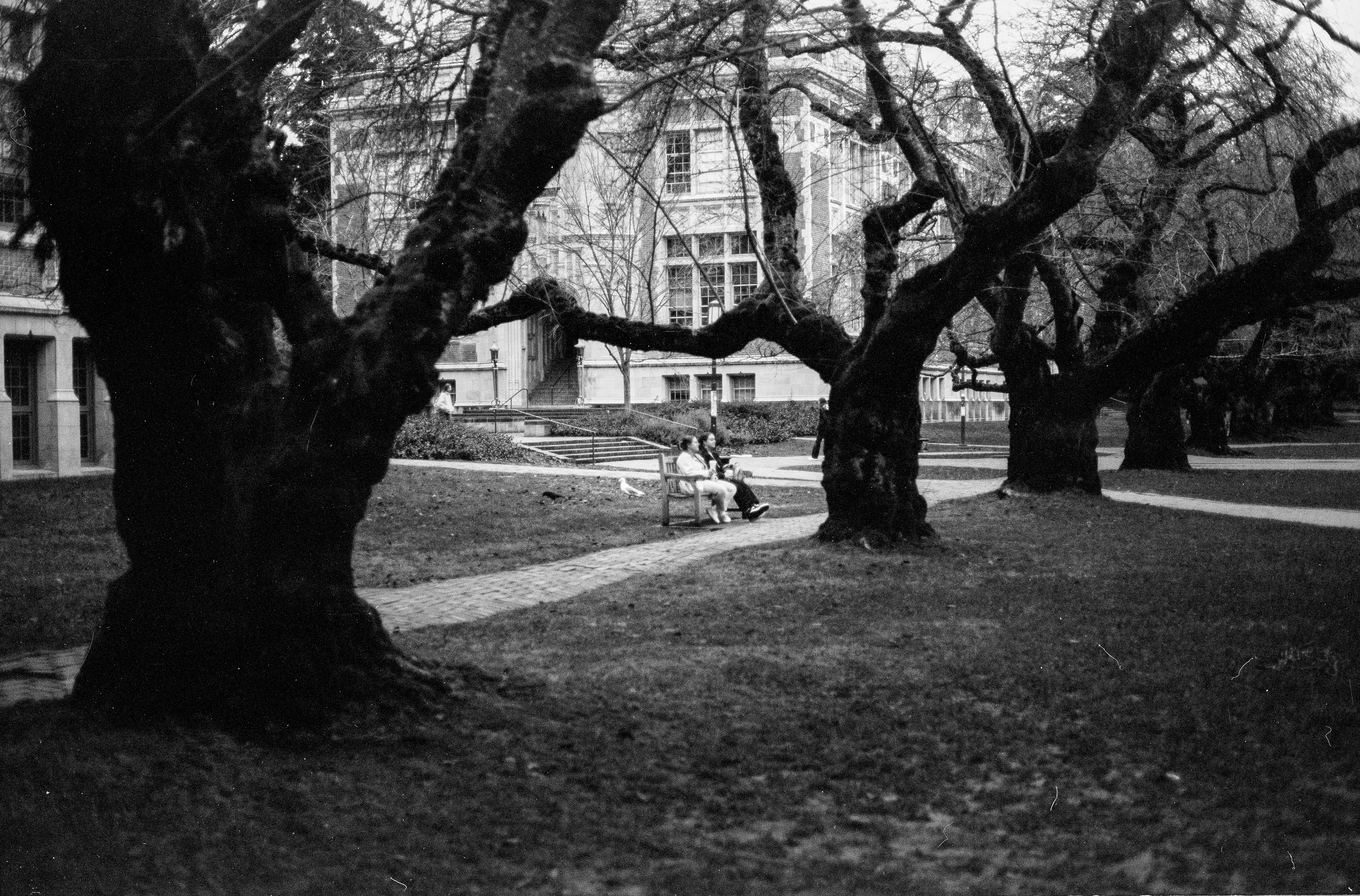 Photo by davidschultz