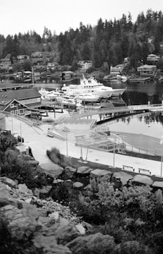 A black and white photograph of a marina featuring several boats and yachts docked along a pier. In the background, residential houses are visible on a hillside surrounded by dense trees. The foreground displays a rocky landscape and part of a paved area with benches and fencing.
