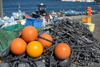 A pile of coiled ropes with orange buoys is set against a backdrop of a harbor. Various fishing equipment is scattered around, including nets, crates, and buckets. The sea is visible in the background, along with several small boats.