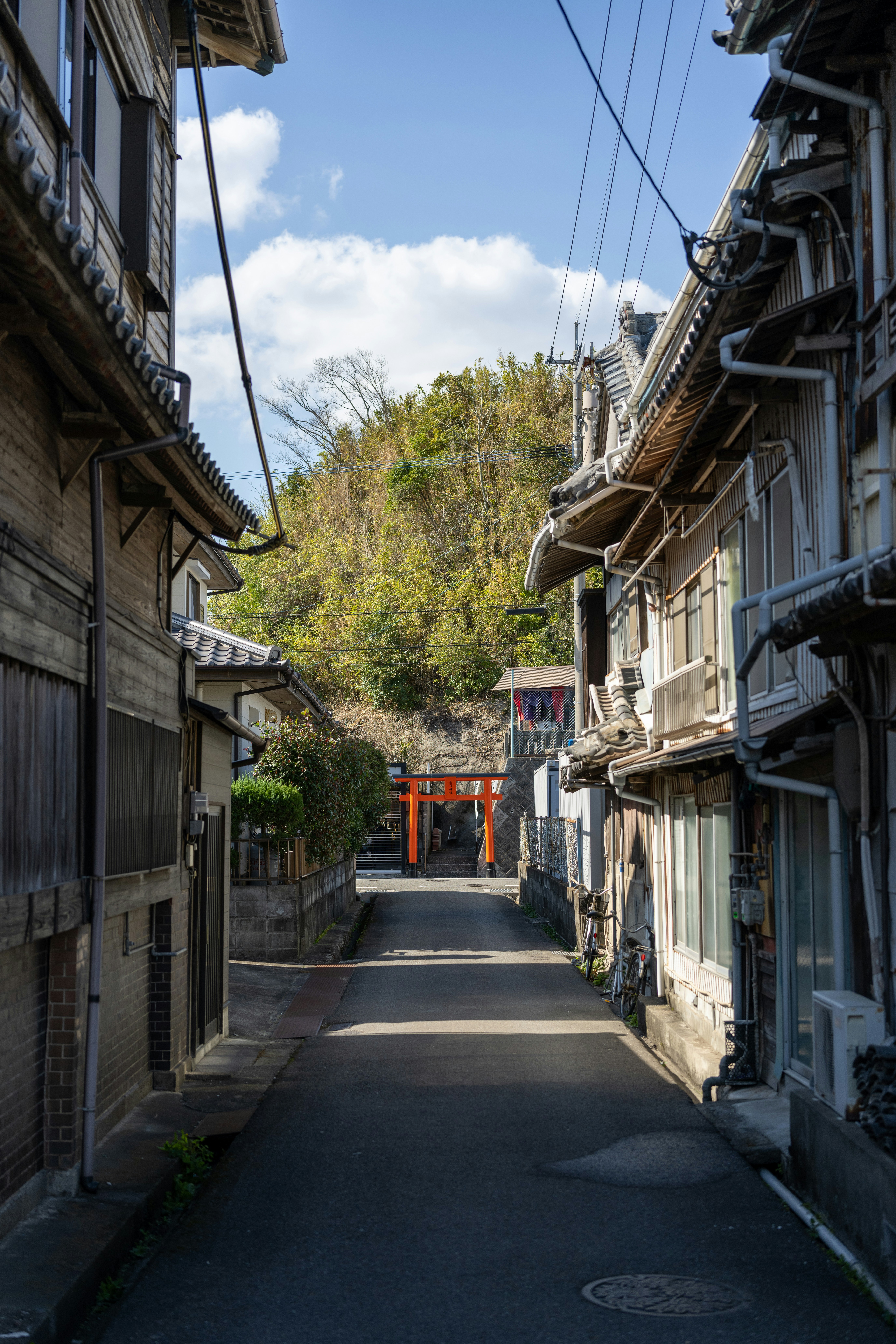 Photo by pafuxu