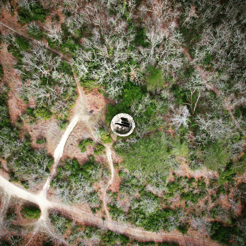 a bird's eye view of a wooded area