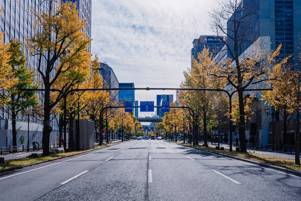 an empty street with tall buildings in the background