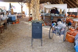 A rustic farm setting features a variety of pumpkins scattered around an open-air market. A chalkboard sign reads 'Welcome to the Farm' amid straw-covered ground. There is a tricycle carrying various goods, and a table with gourds and other farm produce. An American flag and corn stalks add to the autumnal theme.