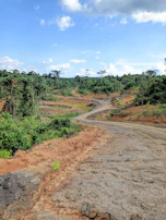 Close-up of a dirt road winding through cleared plots ready for development in Madre de Dios.