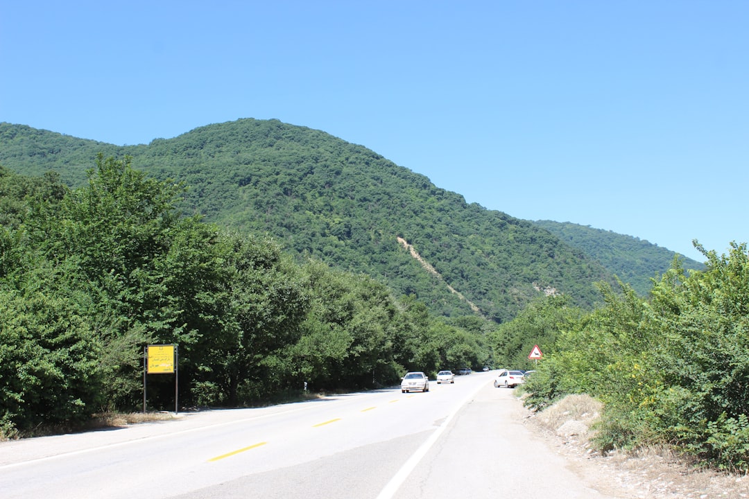a road with a mountain in the background,