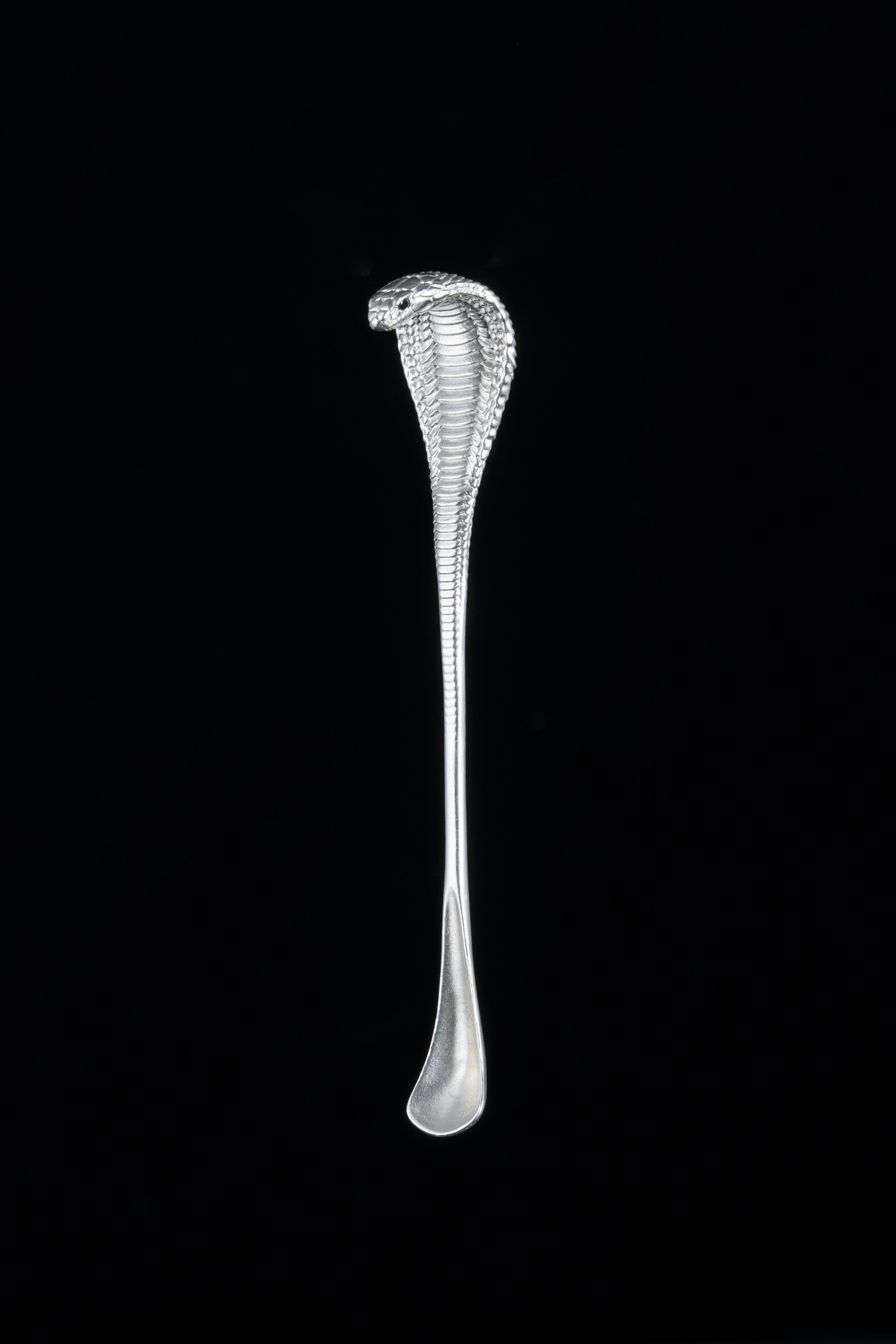 Photo by coppertistwu