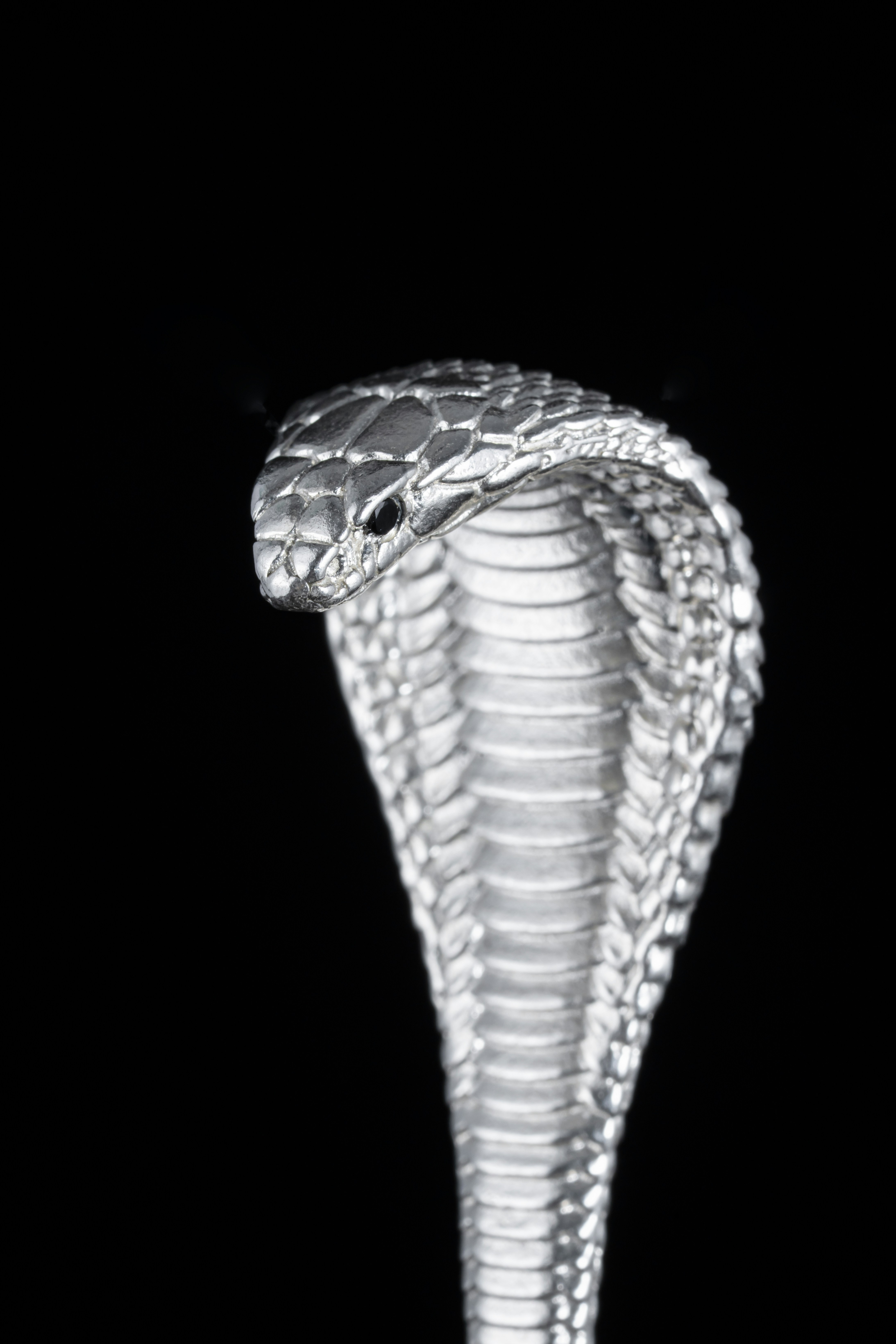 Una estatua de serpiente plateada sobre un fondo negro foto – Imagen de Año  de la Serpiente gratuita en Unsplash, image size:3000x4500