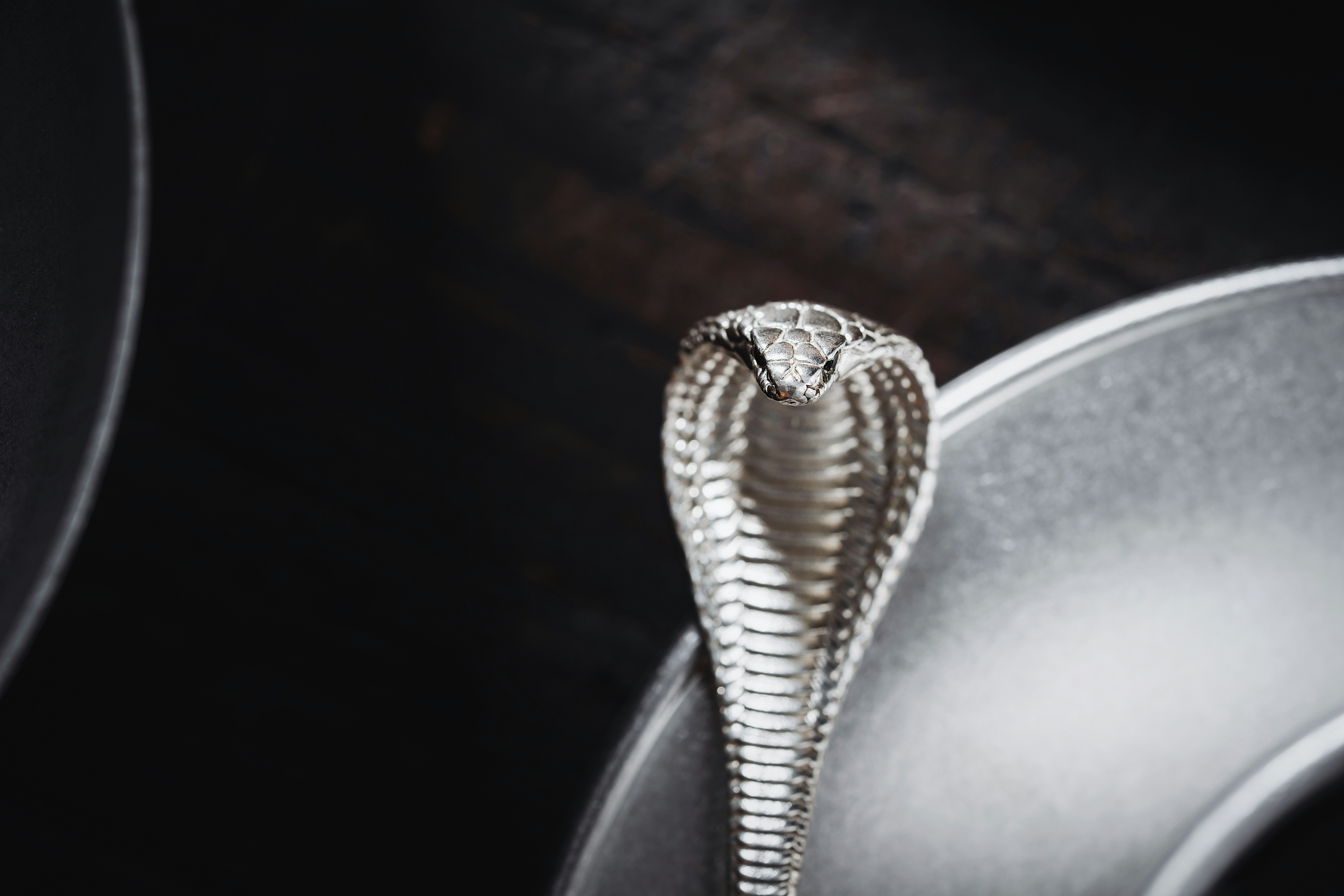 Cobra Coffee Spoon