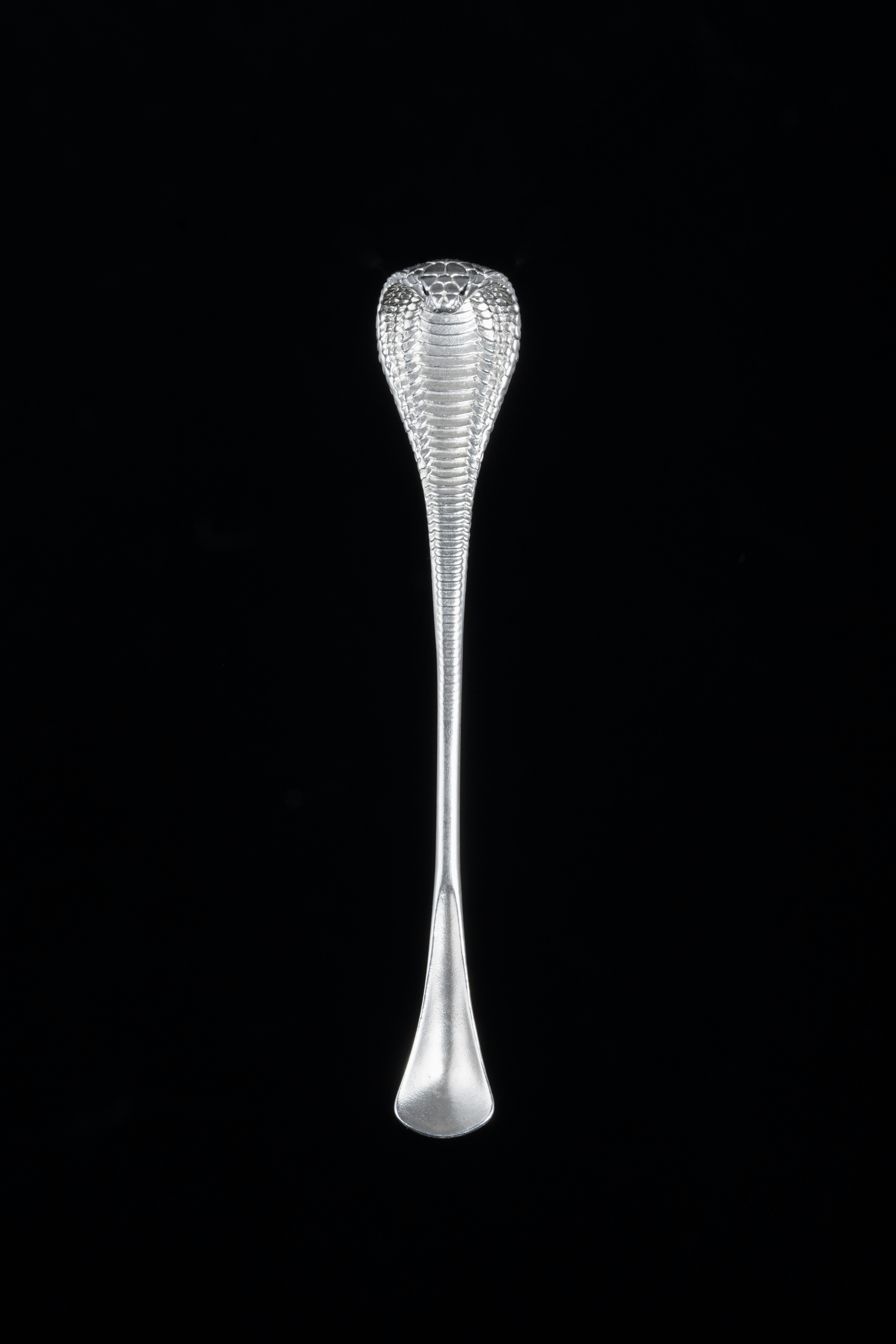 Photo by coppertistwu