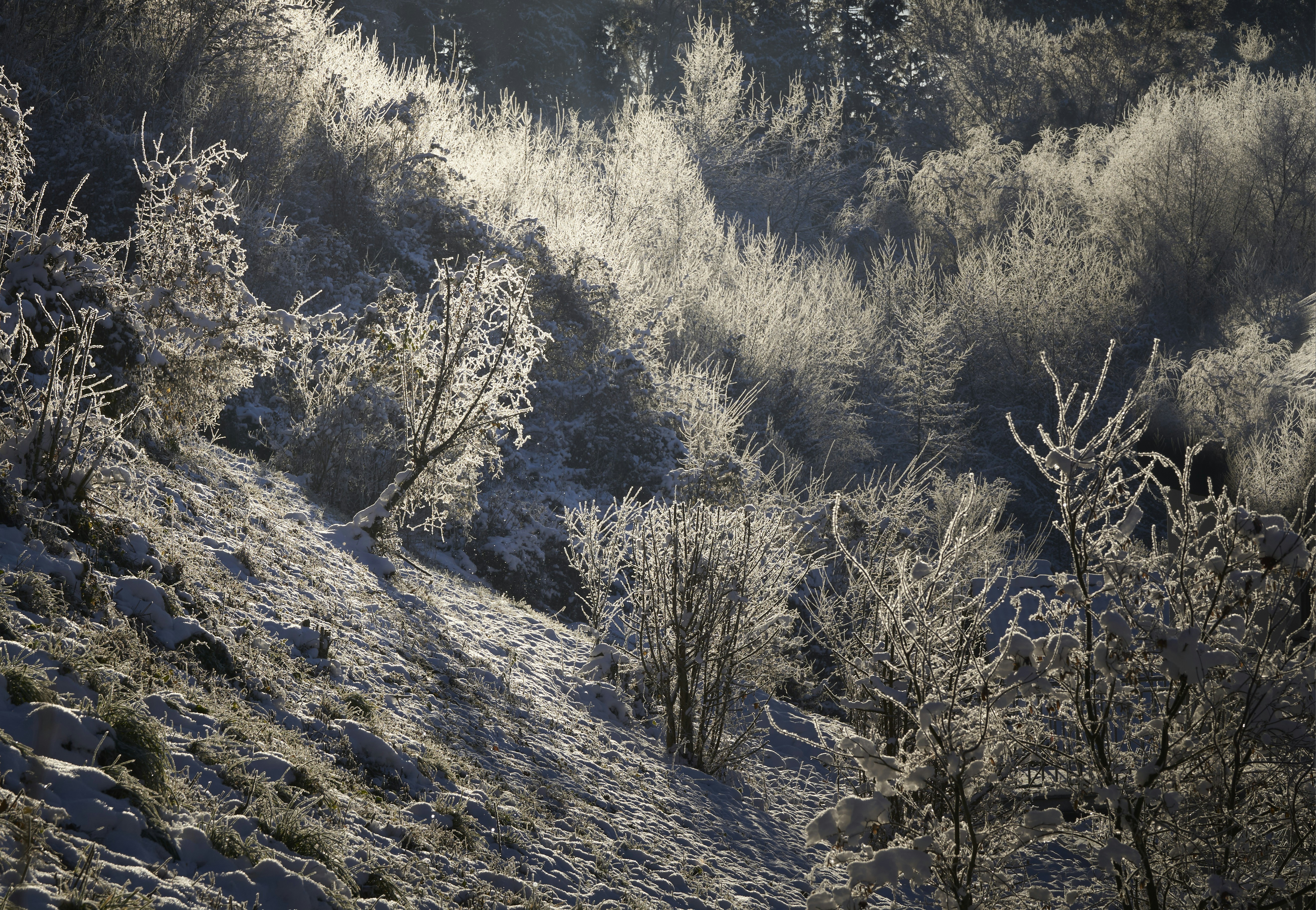 Photo by artemisdesign