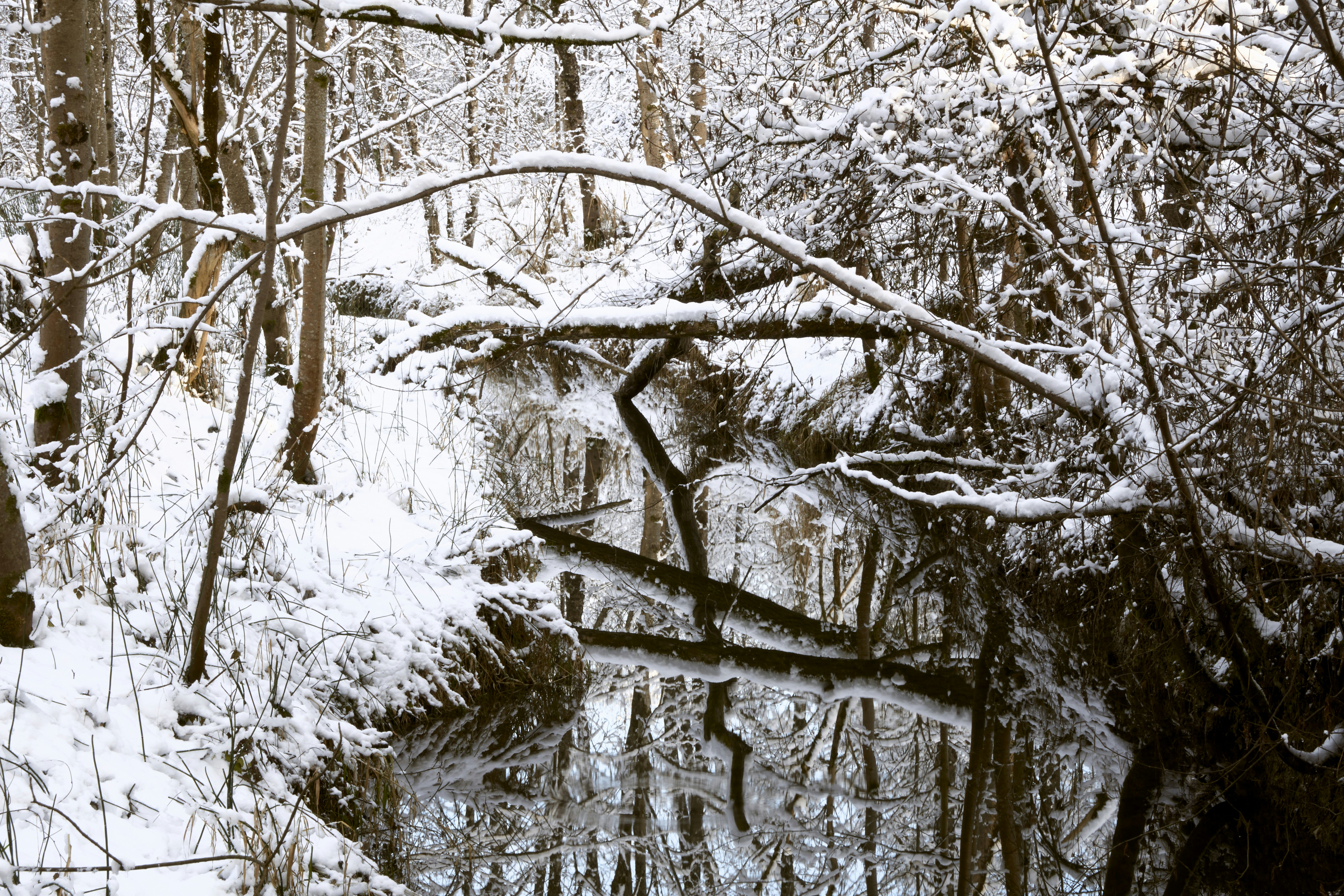 Photo by artemisdesign