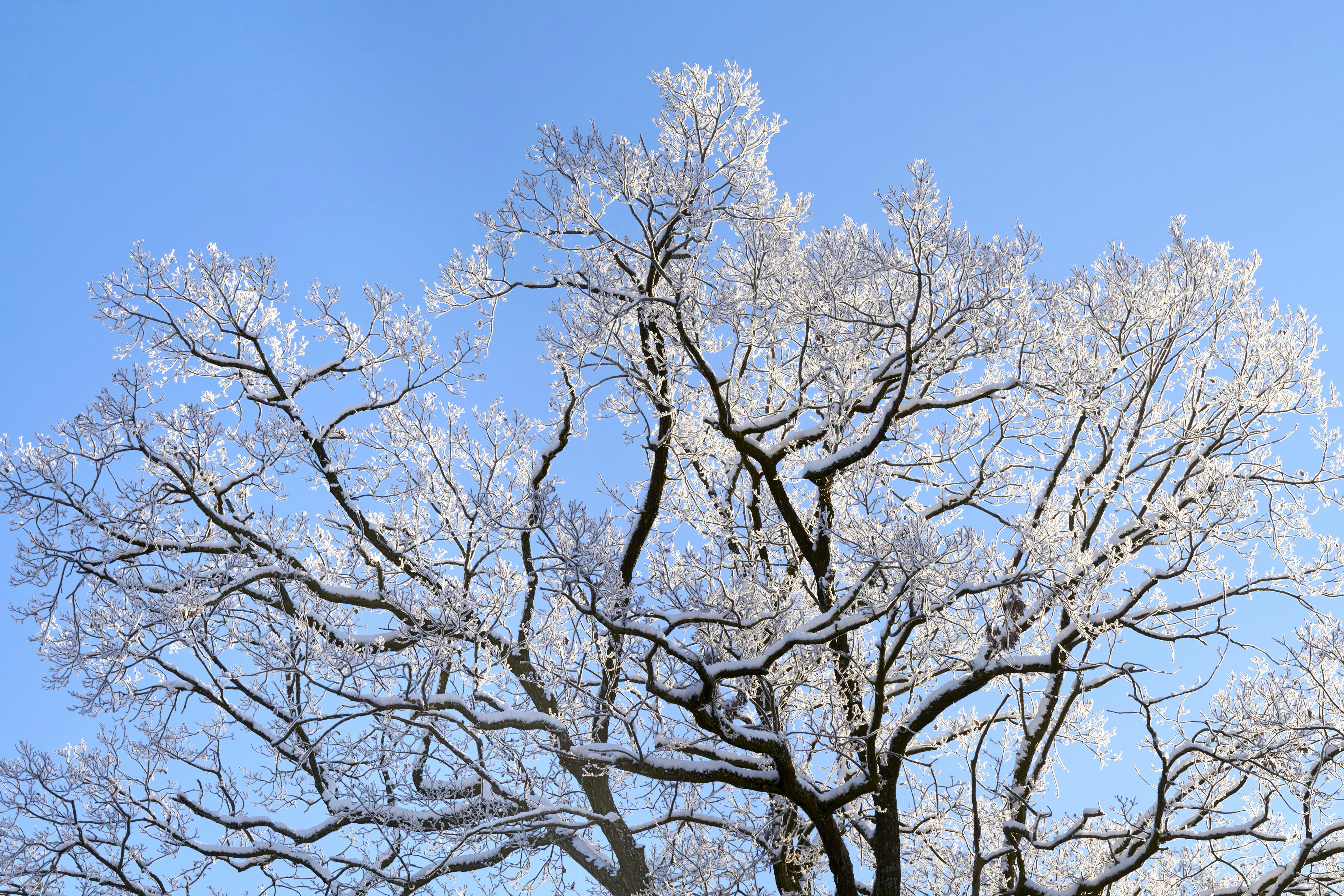 Photo by artemisdesign