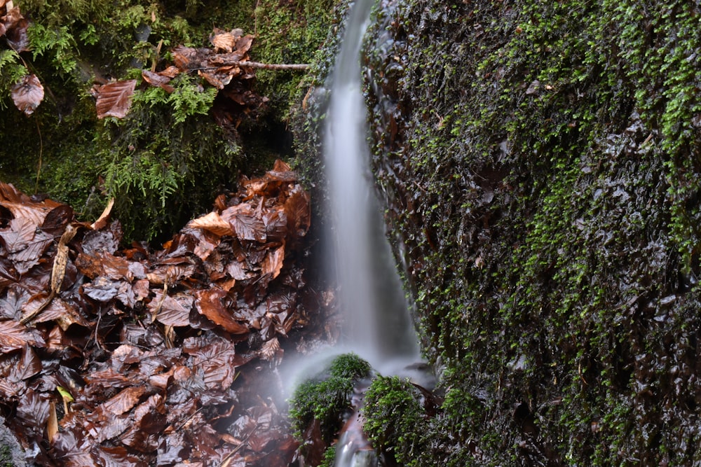 a small waterfall in the middle of a forest