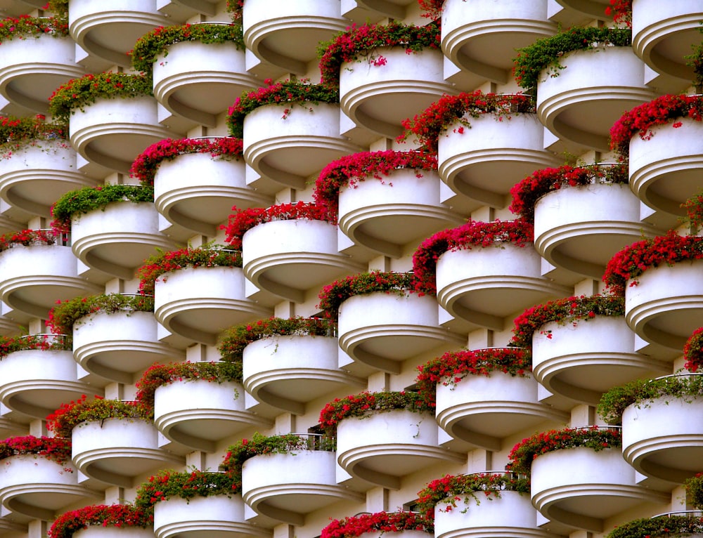 many white pots with red flowers on them